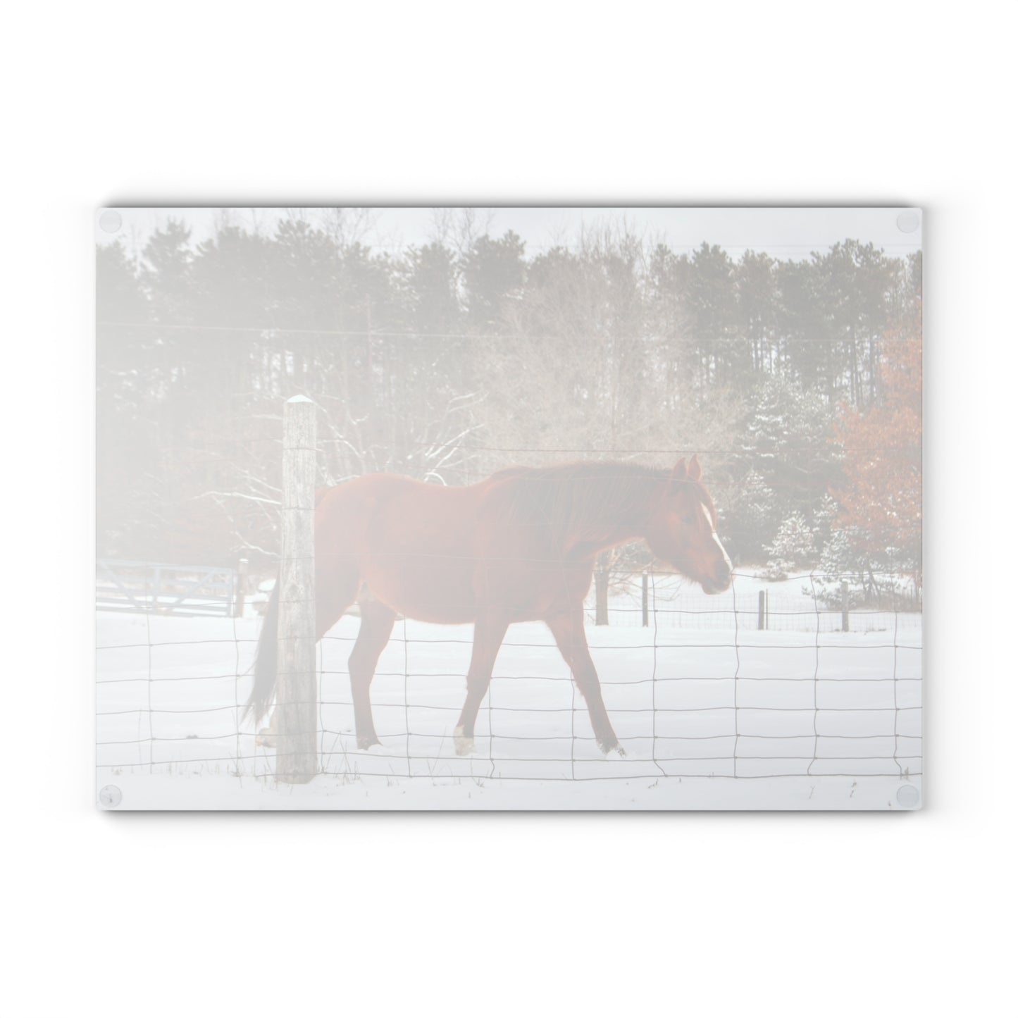 U R There Photography Roadside Chestnut Rustic Farmhouse Tempered-Glass Cutting Board