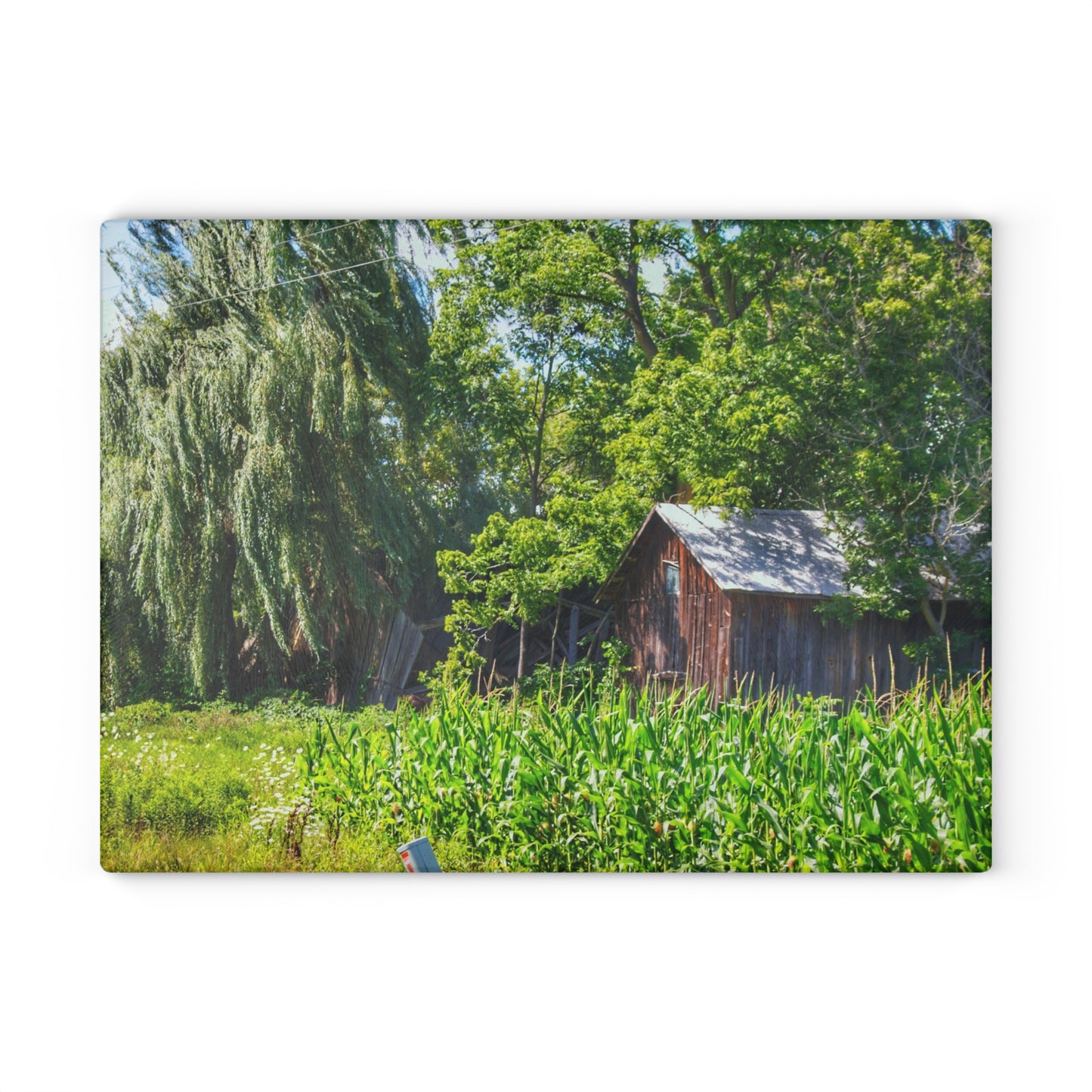 U R There Photography Roadside Ruin Rustic Farmhouse Tempered-Glass Cutting Board