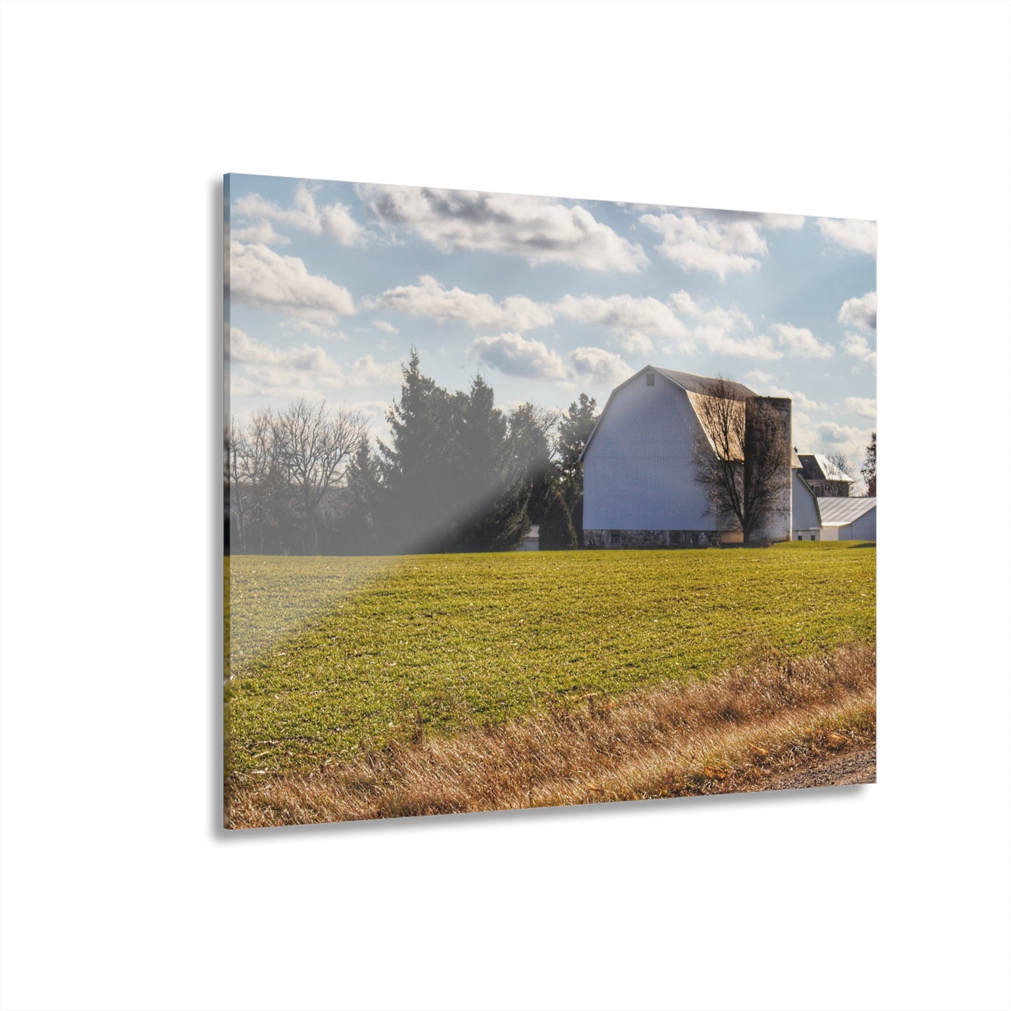 U R There Photography Sandusky White Rustic Farmhouse Acrylic Wall Print