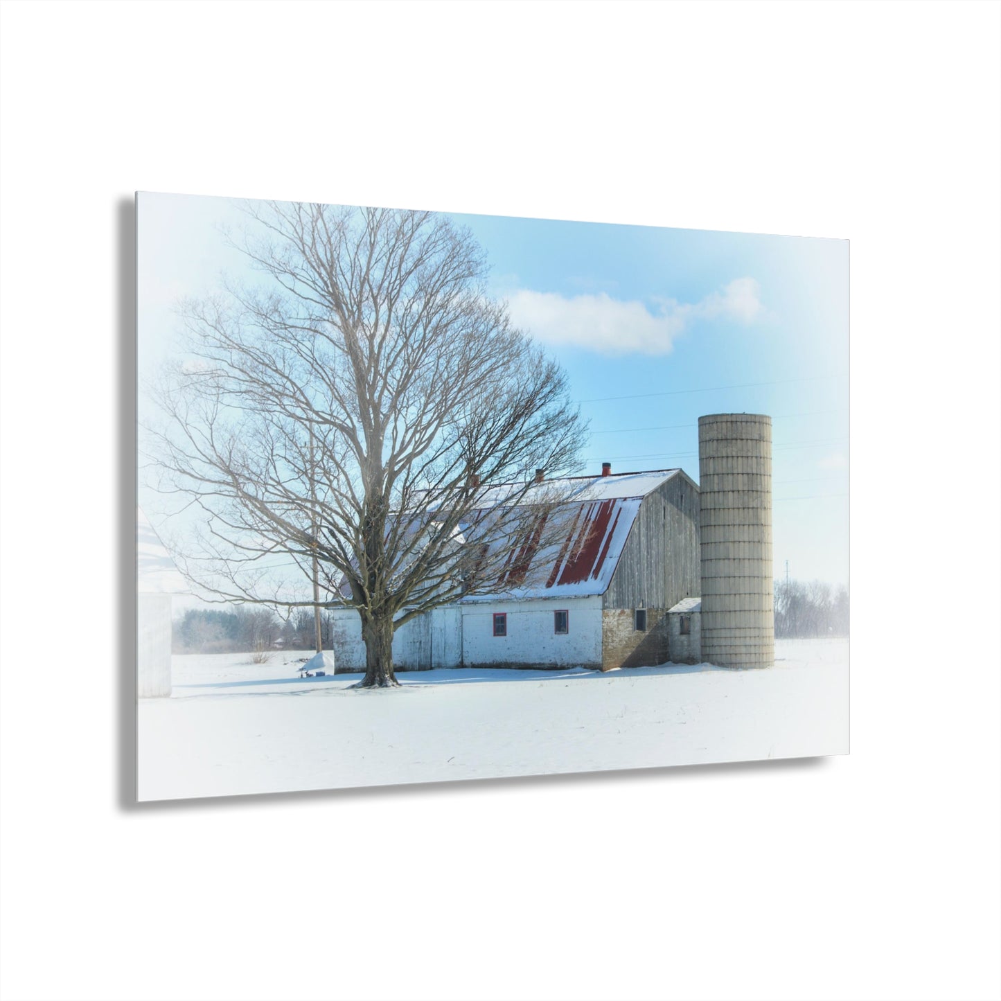 U R There Photography Barnes Road White Rustic Farmhouse Acrylic Wall Print