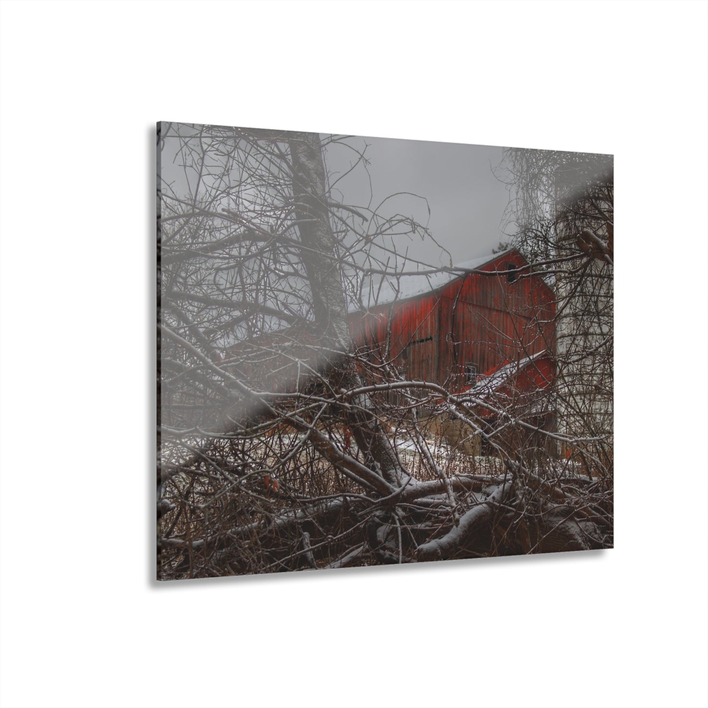 U R There Photography Sandhill Road Hidden Red II Rustic Farmhouse Acrylic Wall Print