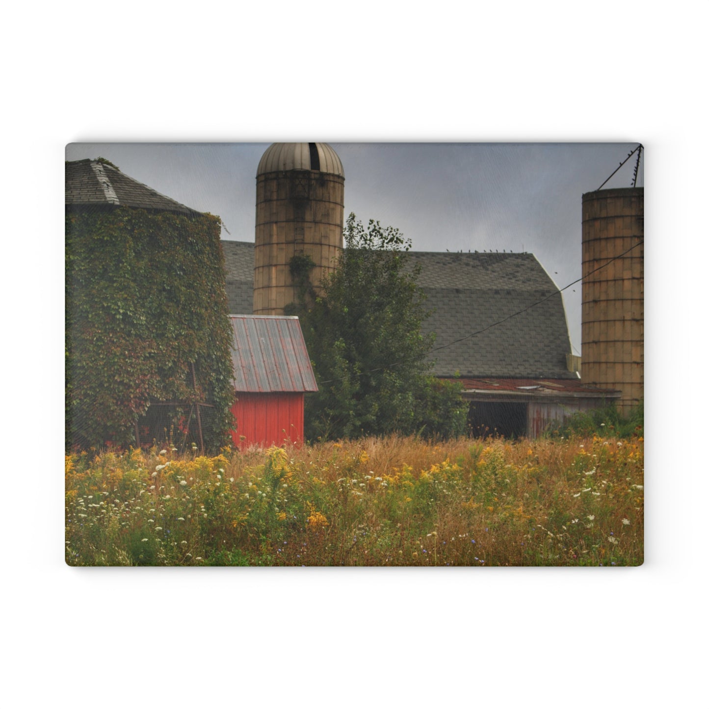 U R There Photography Silos of Otisville Rustic Farmhouse Tempered-Glass Cutting Board