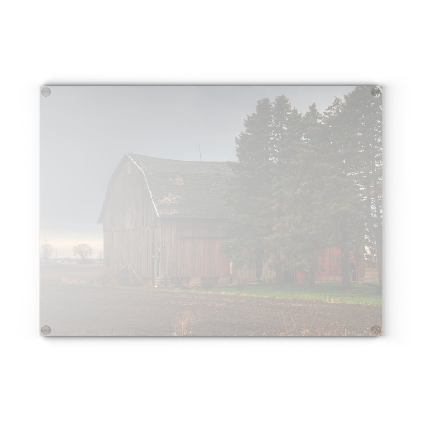 U R There Photography Owendale Red Rustic Farmhouse Tempered-Glass Cutting Board