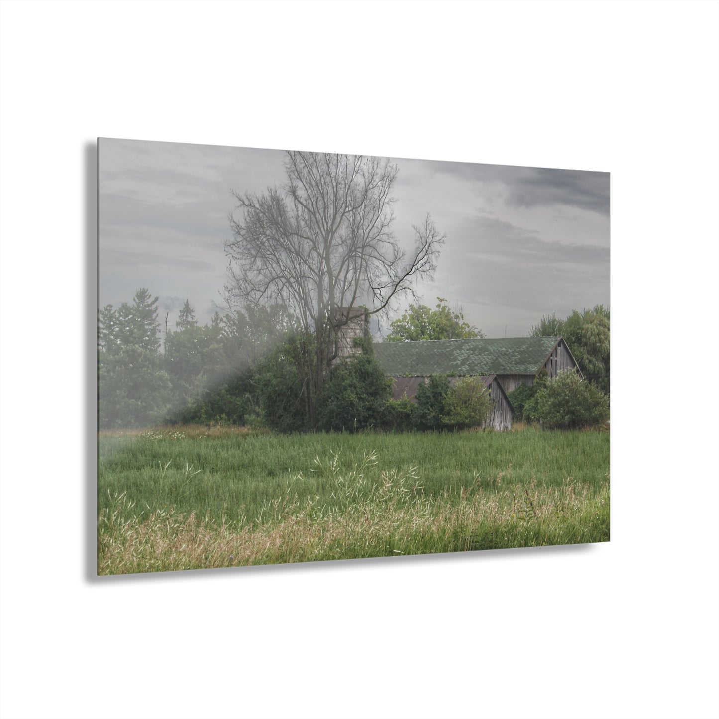 U R There Photography Wilder Road Grey III Rustic Farmhouse Acrylic Wall Print