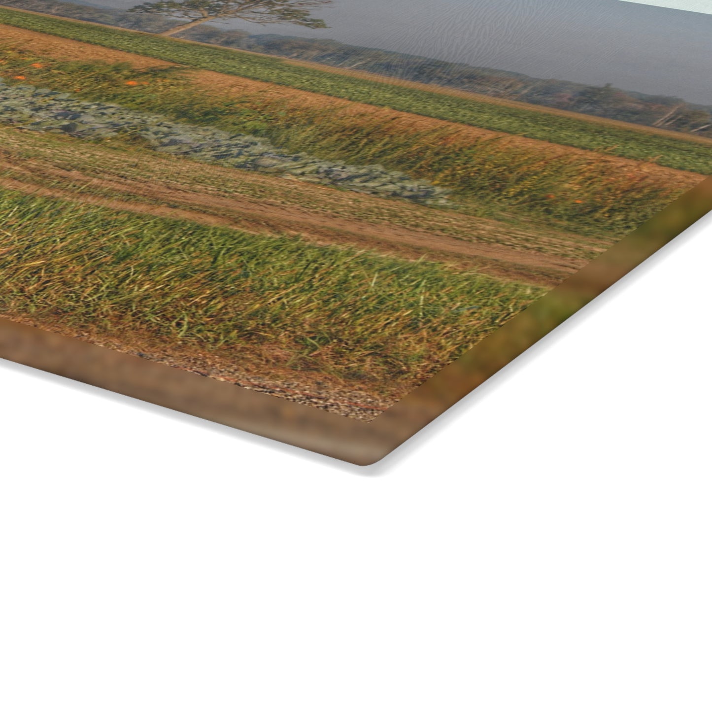 U R There Photography Cabbage and Pumpkin Patch Rustic Farmhouse Tempered-Glass Cutting Board