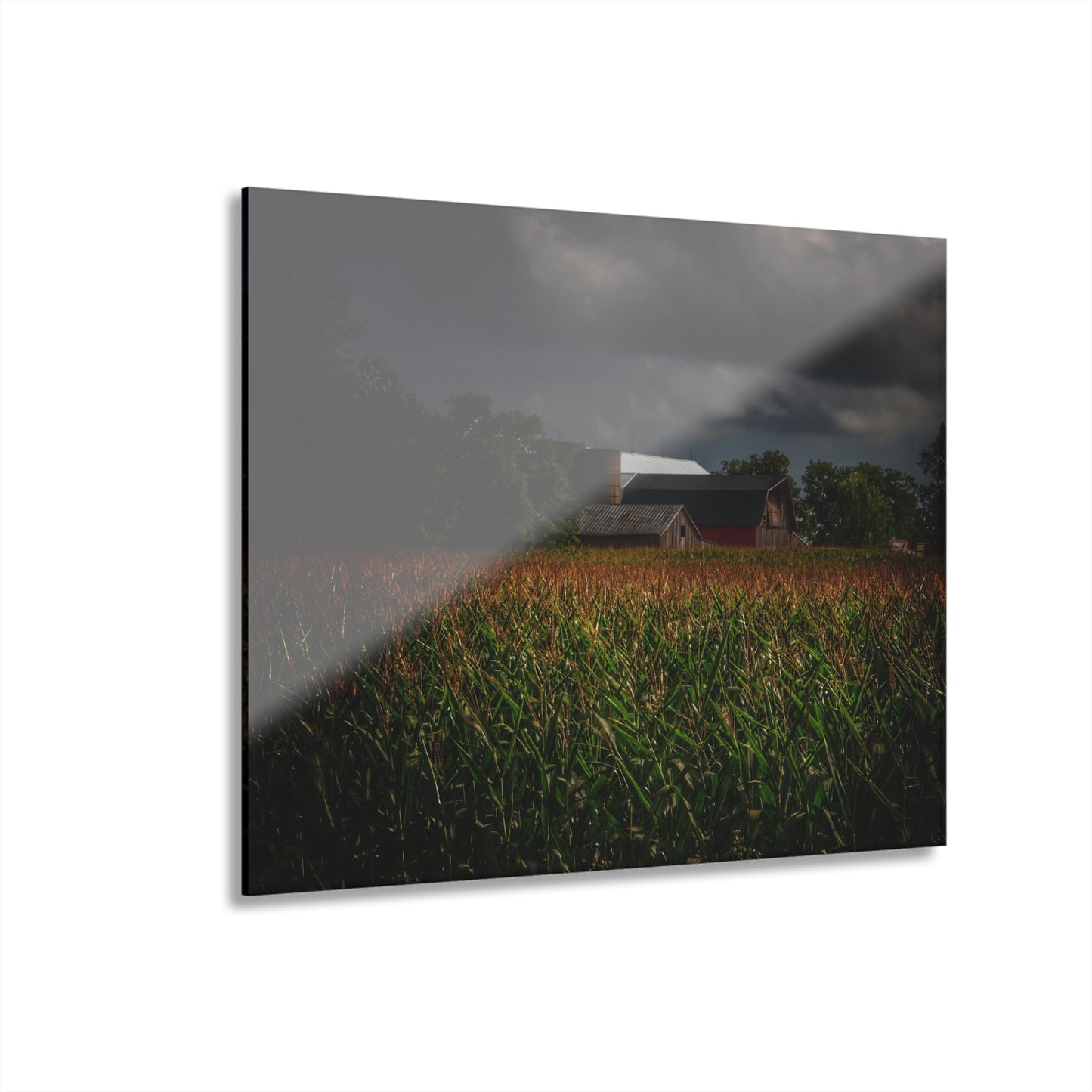 U R There Photography Bishop Road Beyond the Corn Rustic Farmhouse Acrylic Wall Print
