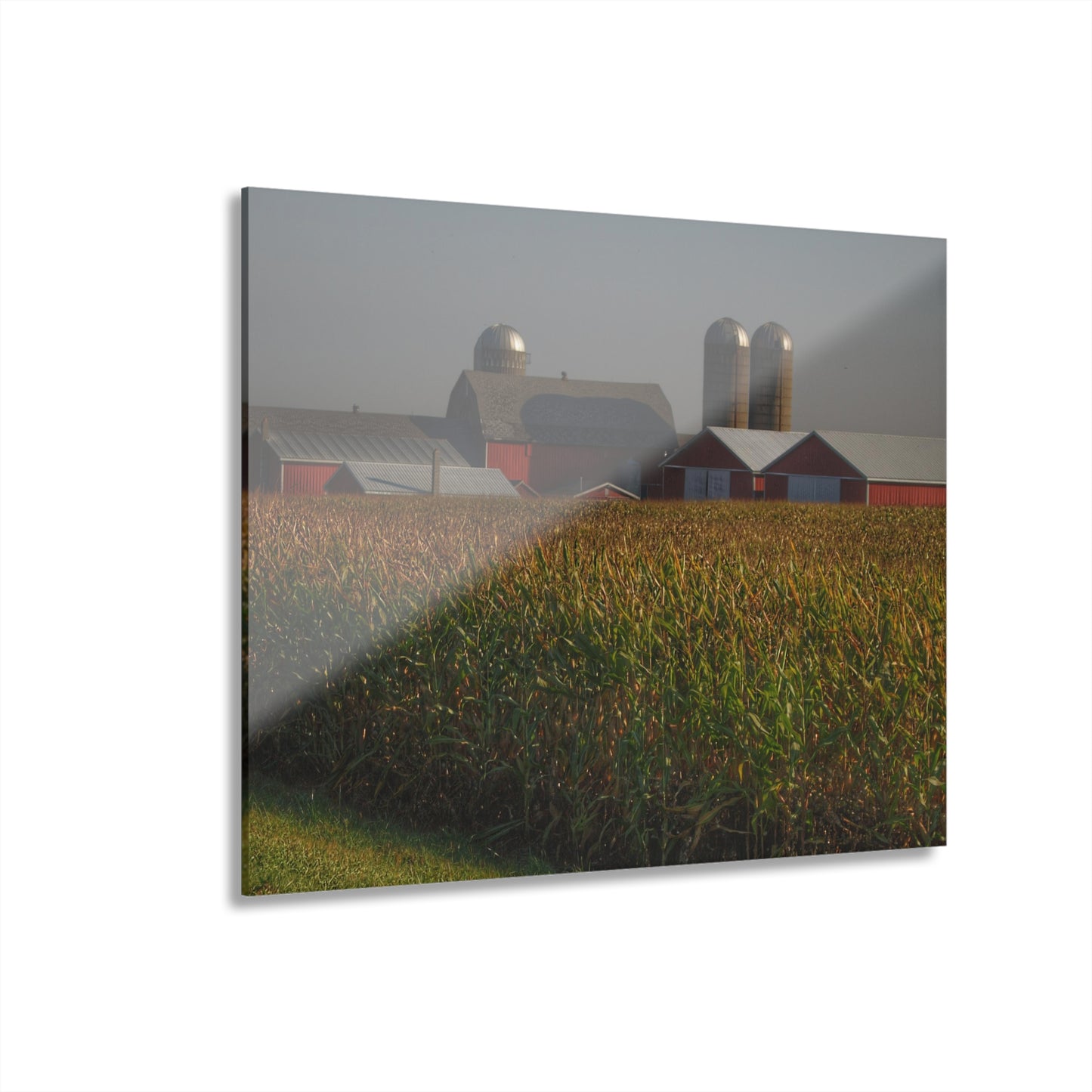 U R There Photography Slattery Road Farm and Cornfield II Rustic Farmhouse Acrylic Wall Print