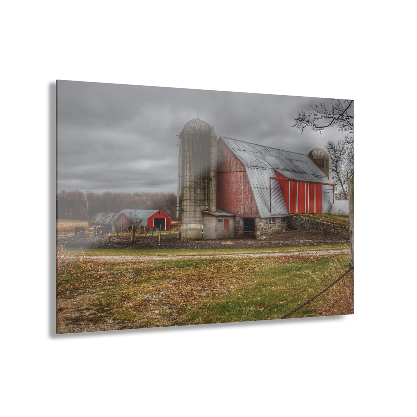 U R There Photography Slattery Roadside Red I Rustic Farmhouse Acrylic Wall Print