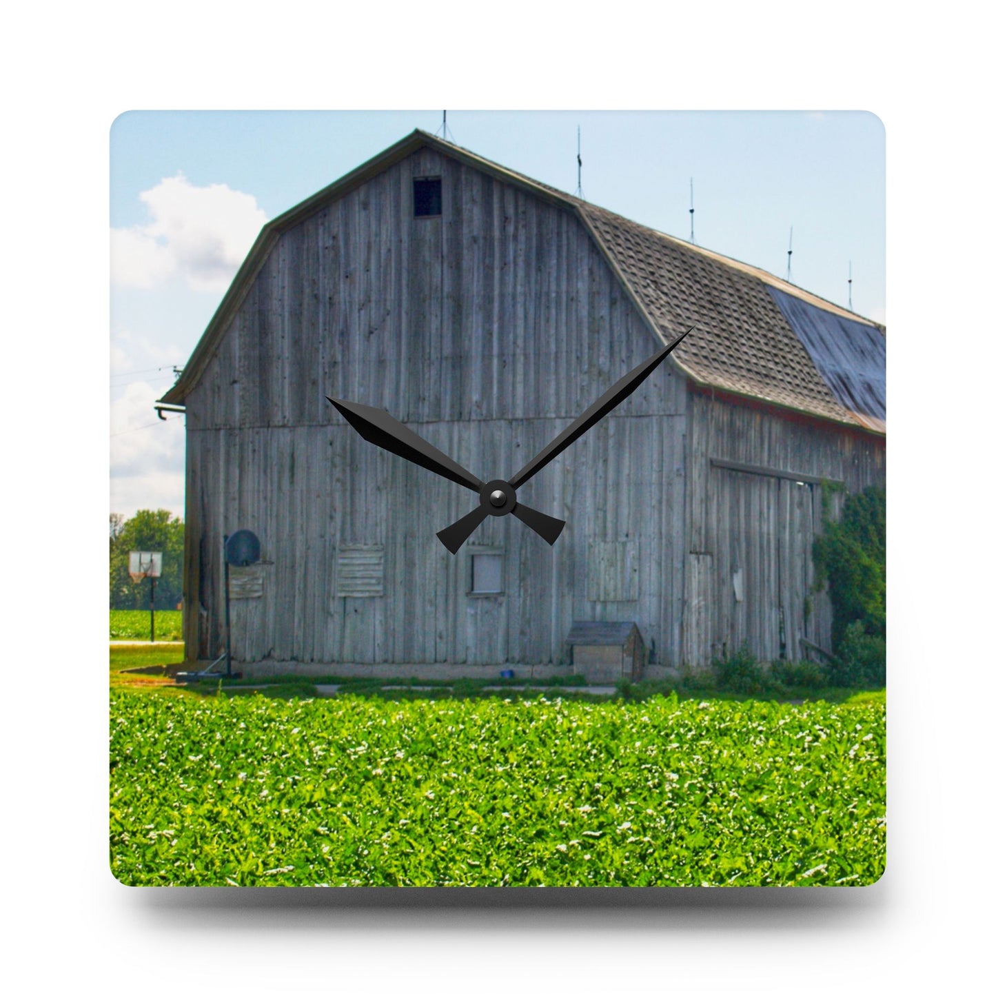 U R There Photography Morning Roadside Grey Rustic Farmhouse Acrylic Analog Wall Clock