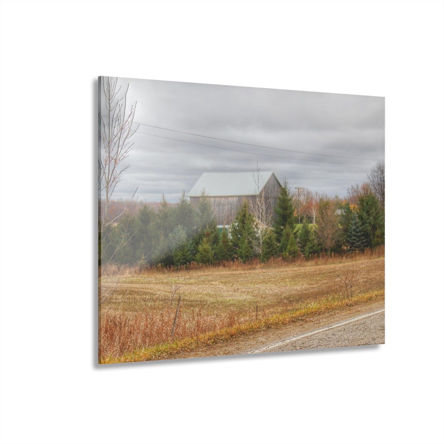 U R There Photography Burnside Grey Rustic Farmhouse Acrylic Wall Print