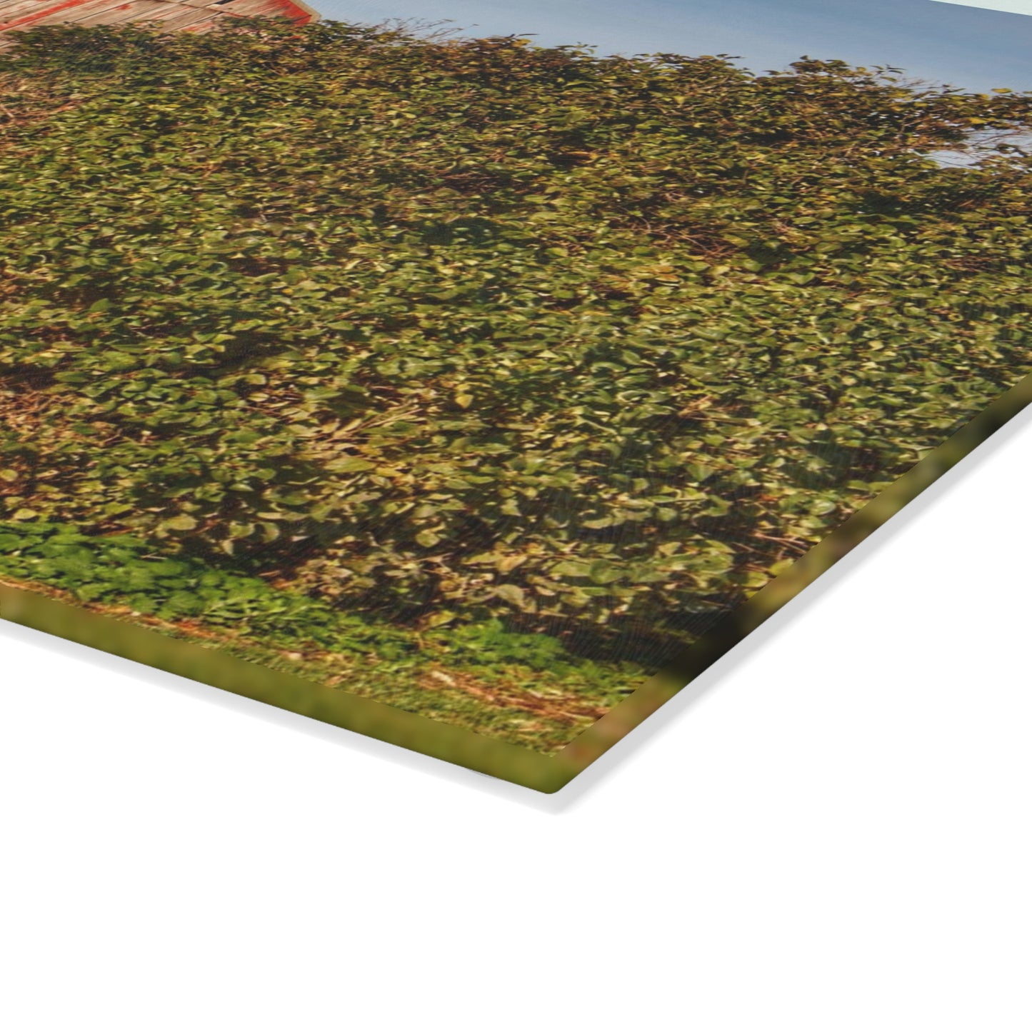 U R There Photography Cade Road Red II Rustic Farmhouse Tempered-Glass Cutting Board