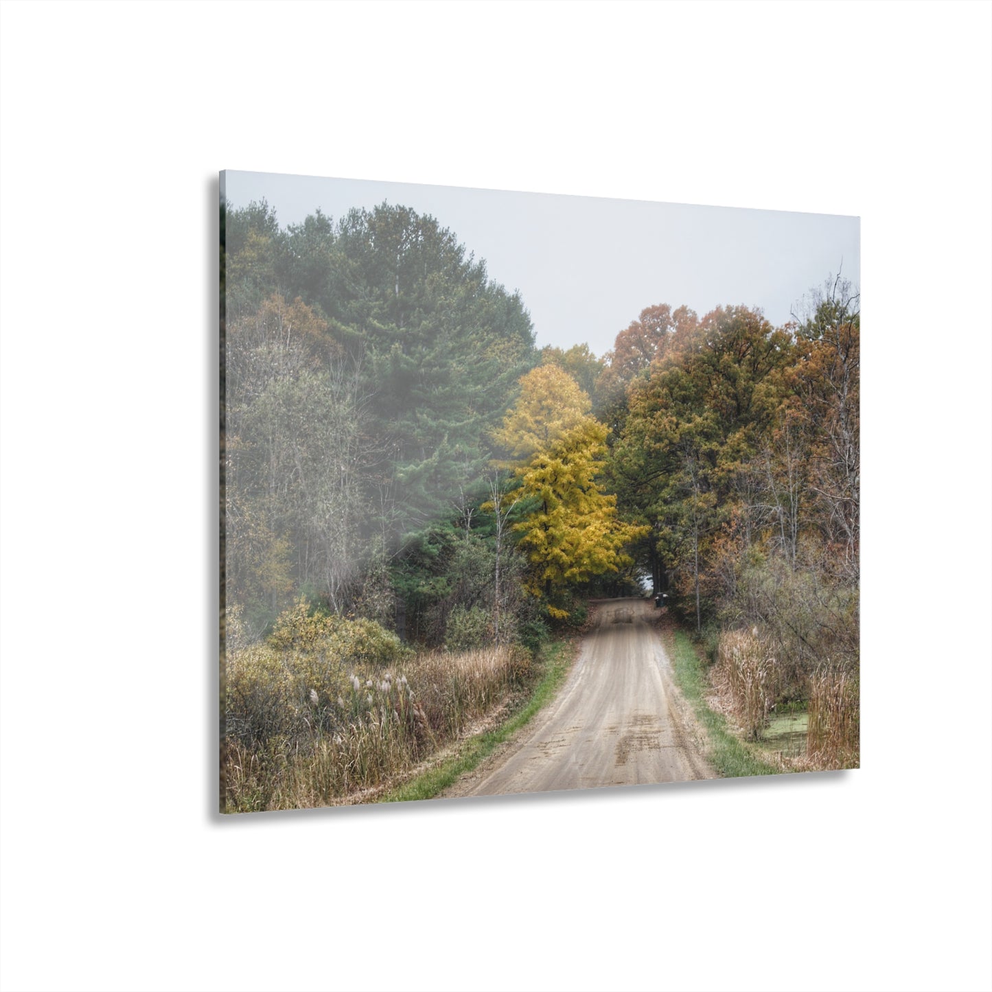 U R There Photography Country Roads in Dryden I Rustic Farmhouse Acrylic Wall Print