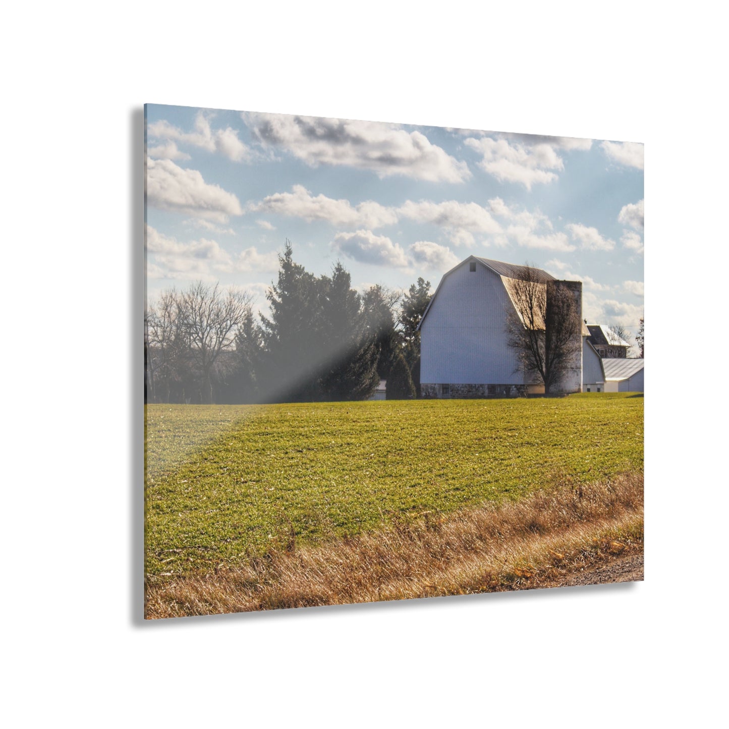 U R There Photography Sandusky White Rustic Farmhouse Acrylic Wall Print