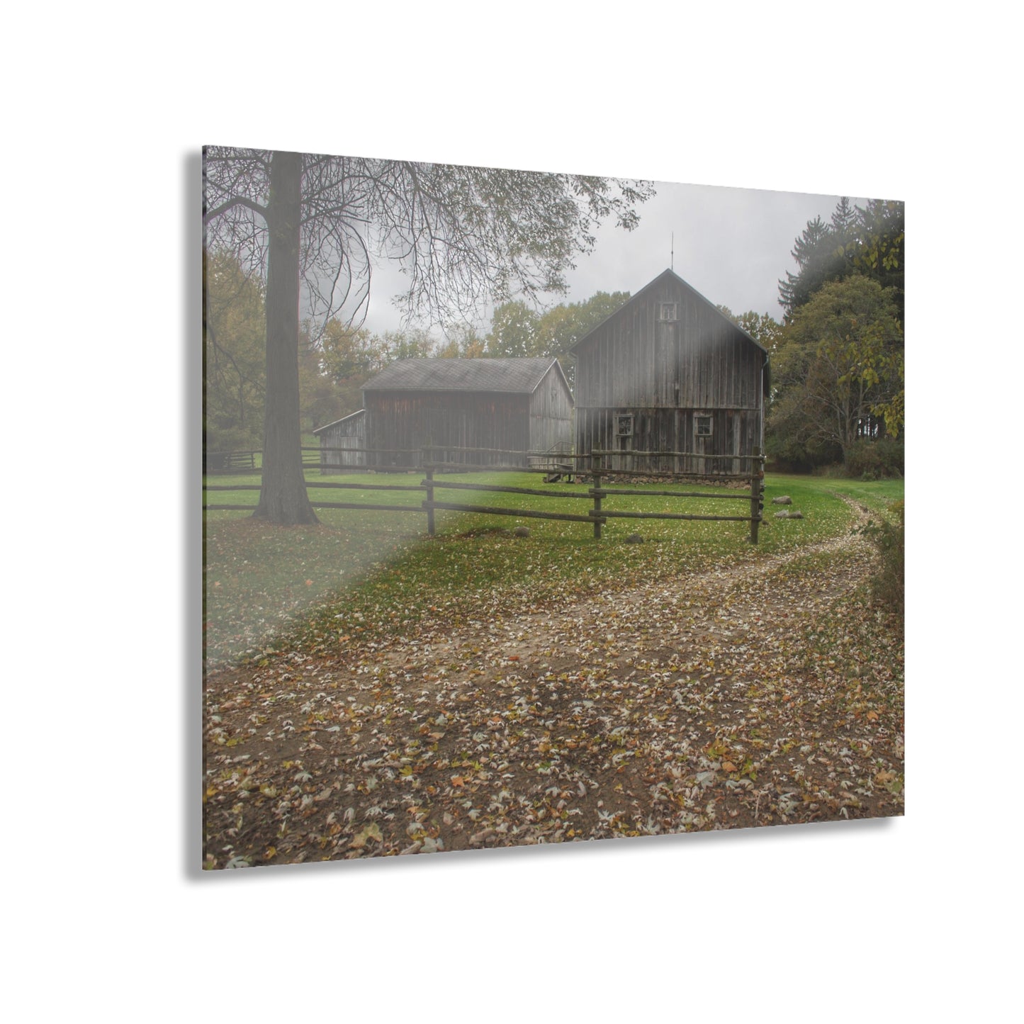 U R There Photography Wilder Road Greys II Rustic Farmhouse Acrylic Wall Print