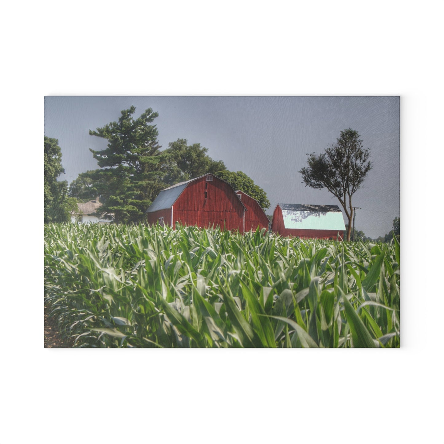 U R There Photography Shoemaker Reds Rustic Farmhouse Tempered-Glass Cutting Board