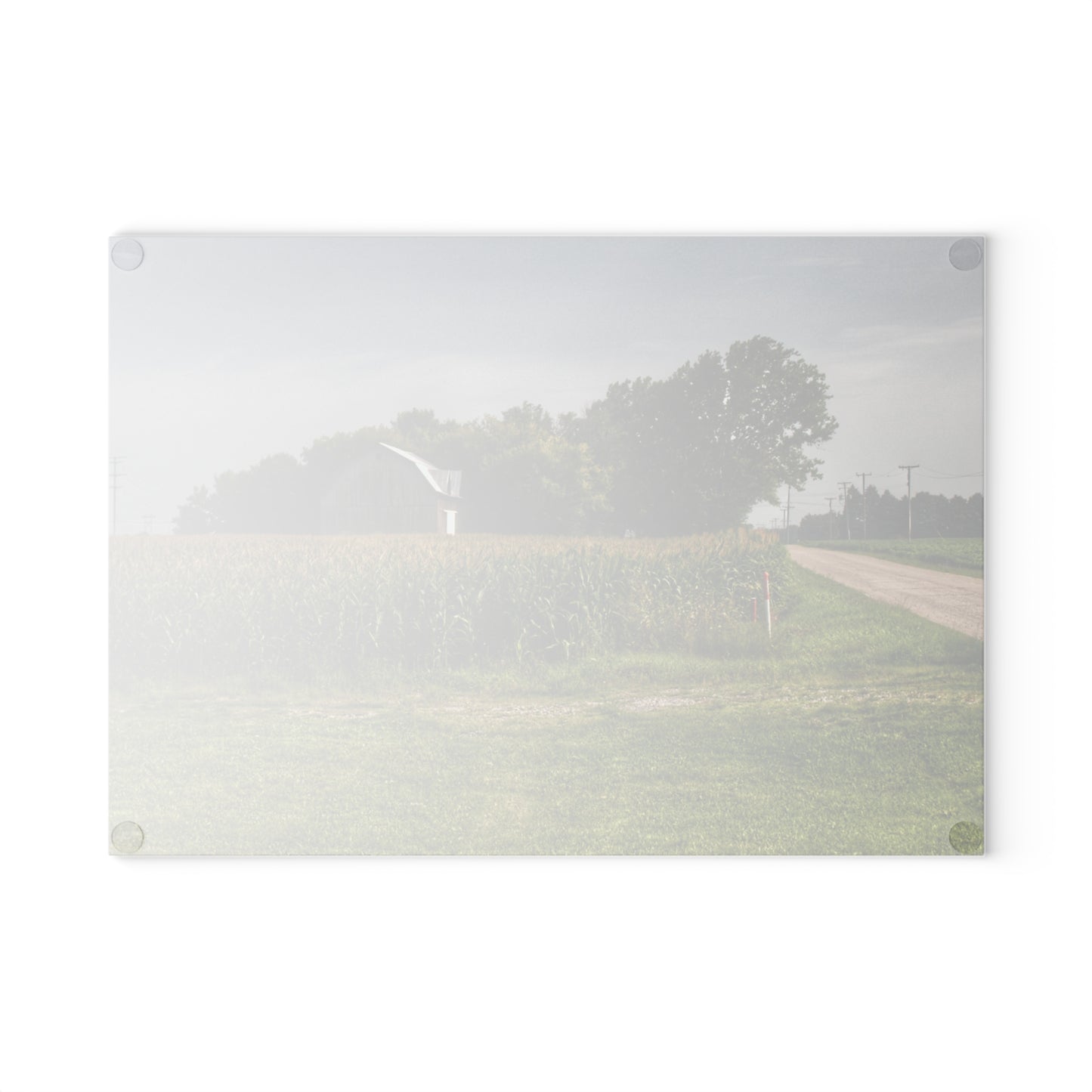 U R There Photography Quanicassee Road Grey Rustic Farmhouse Tempered-Glass Cutting Board