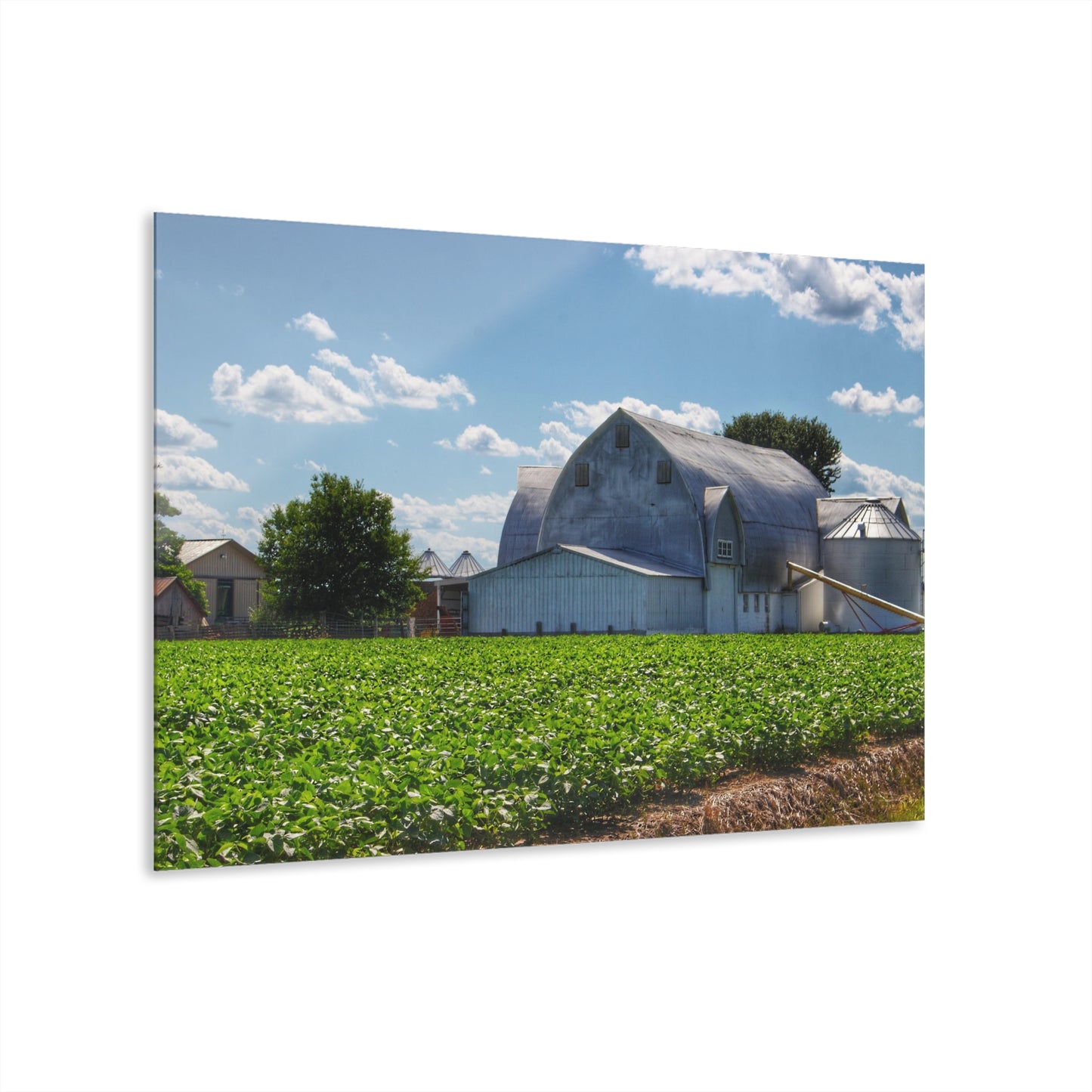 U R There Photography Canada Road White Rustic Farmhouse Acrylic Wall Print