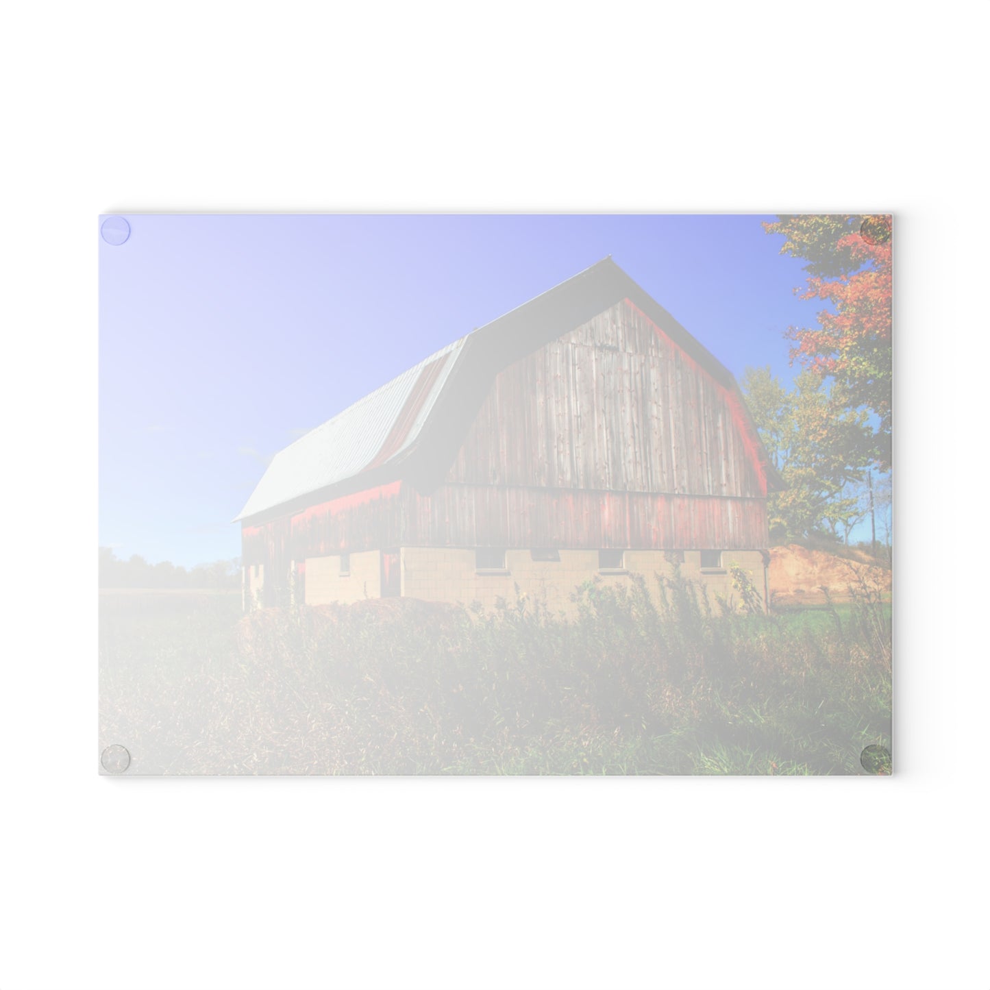 U R There Photography Byington Road Red II Rustic Farmhouse Tempered-Glass Cutting Board