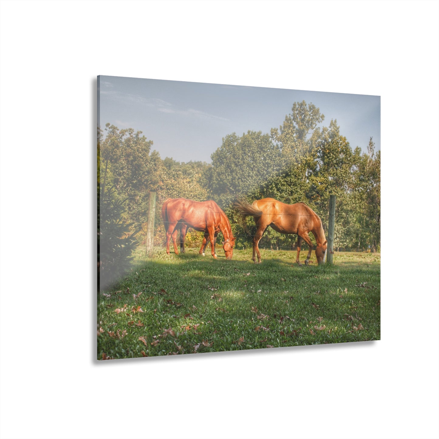 U R There Photography Caramel Horses Rustic Farmhouse Acrylic Wall Print