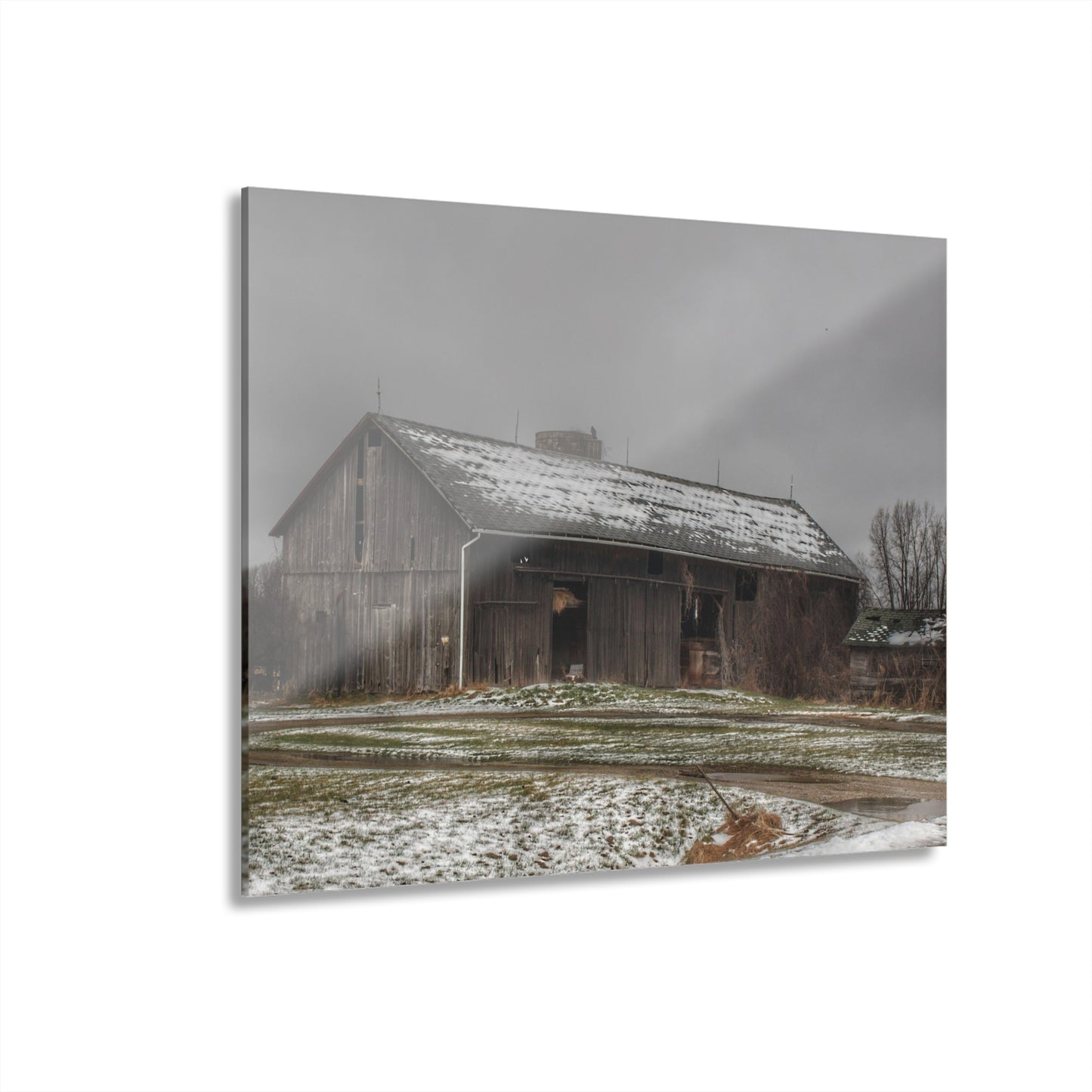 U R There Photography Wilder Road Grey in Spring Rustic Farmhouse Acrylic Wall Print