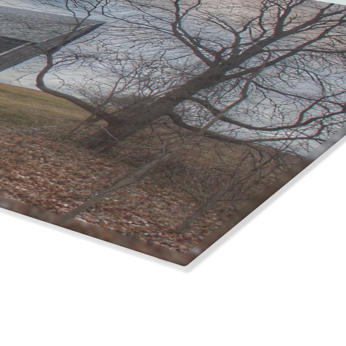 U R There Photography Attica Road Black Rustic Farmhouse Tempered-Glass Cutting Board