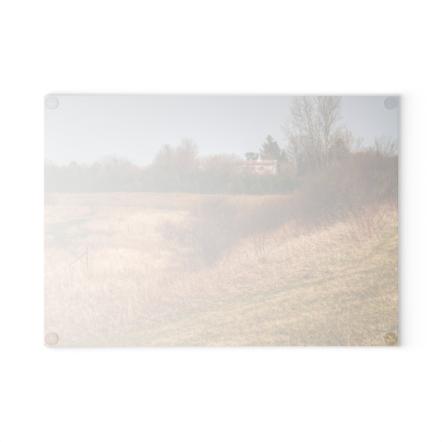 U R There Photography Beyond the Short Pines Rustic Farmhouse Tempered-Glass Cutting Board