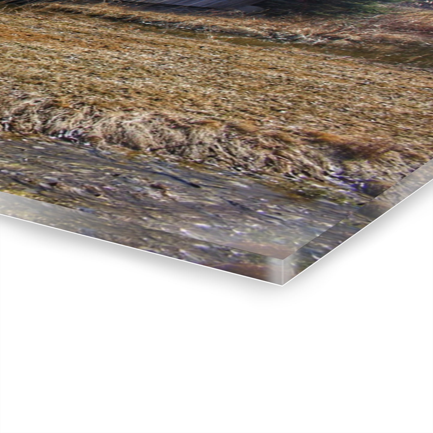U R There Photography Covered Bridge of Campground Road I Rustic Farmhouse Acrylic Wall Print