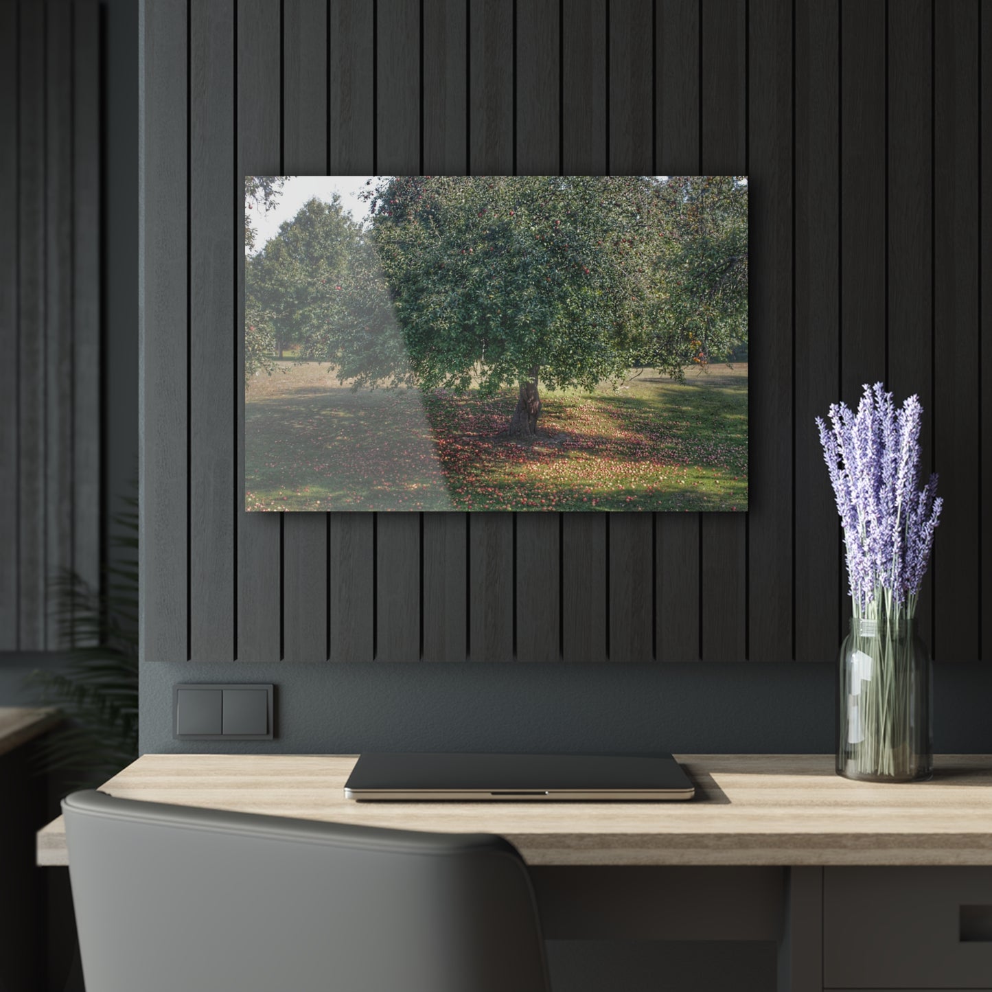 U R There Photography Apple Tree and Apples Rustic Farmhouse Acrylic Wall Print