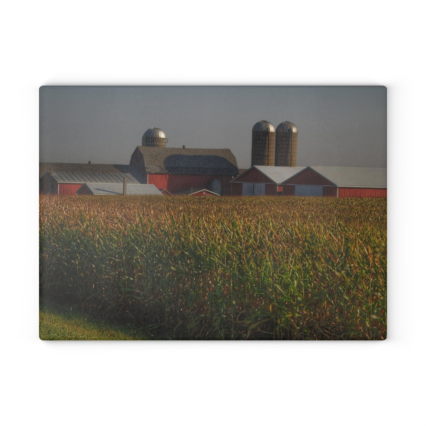 U R There Photography Slattery Road Farm and Cornfield II Rustic Farmhouse Tempered-Glass Cutting Board