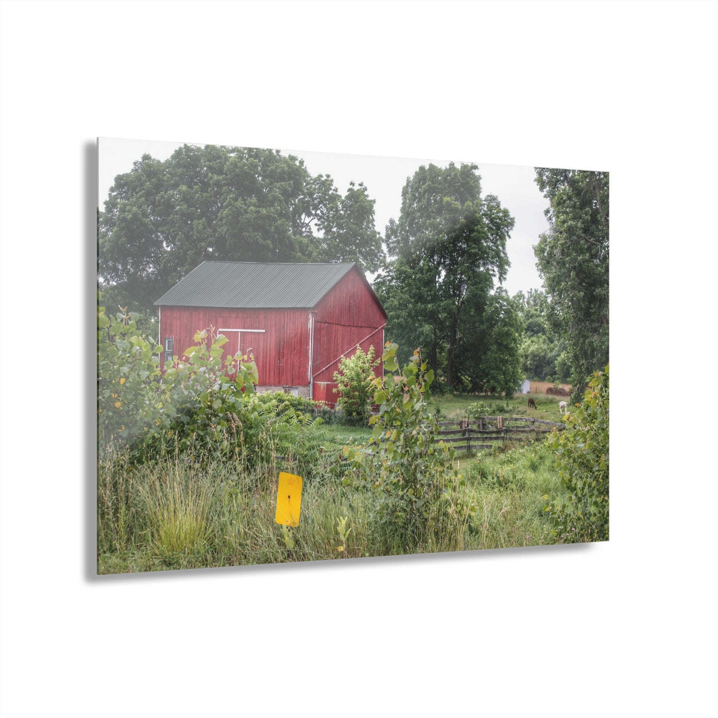U R There Photography Clifford Road Alpaca Barn Rustic Farmhouse Acrylic Wall Print