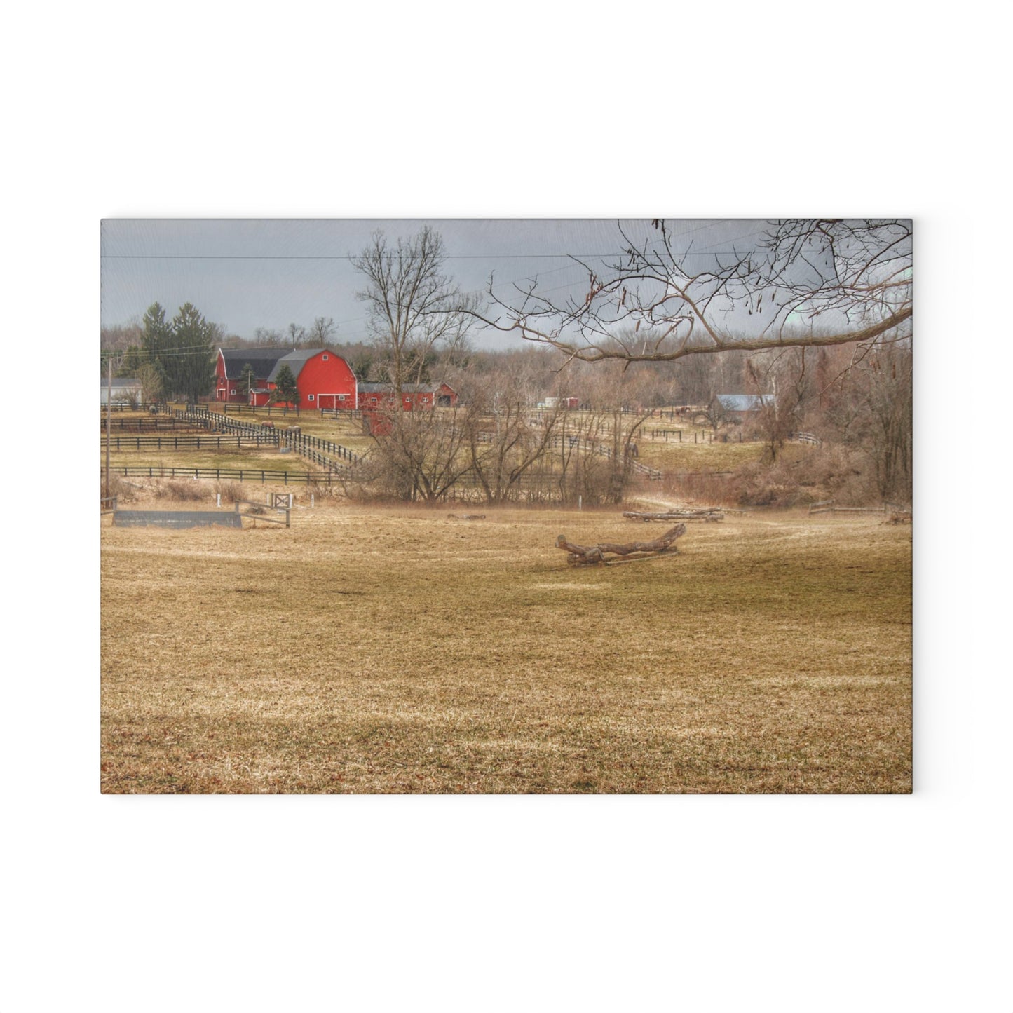 U R There Photography Beyond the Trees on Rock Valley Road Rustic Farmhouse Tempered-Glass Cutting Board