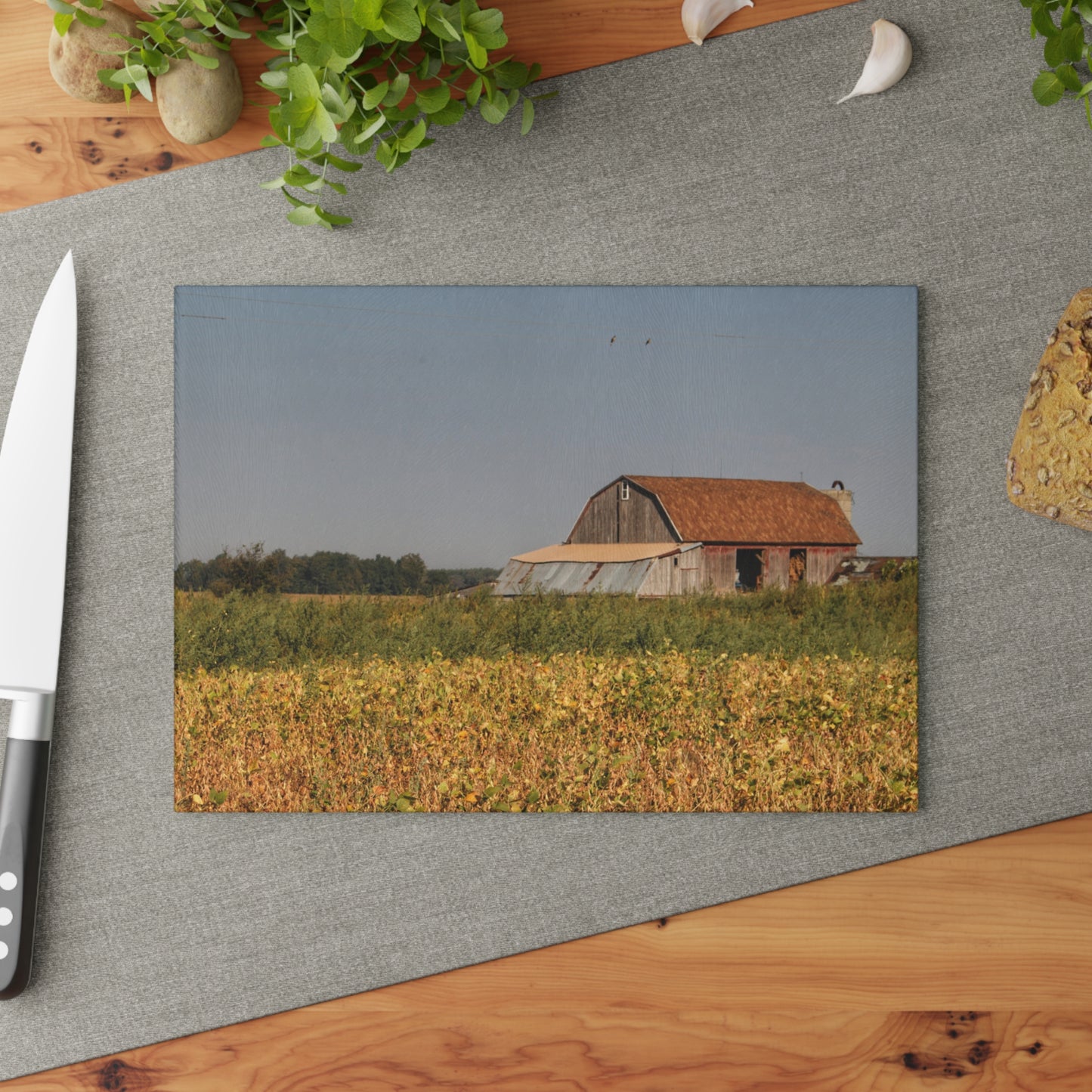 U R There Photography Slattery Road Saltbox Grey Rustic Farmhouse Tempered-Glass Cutting Board