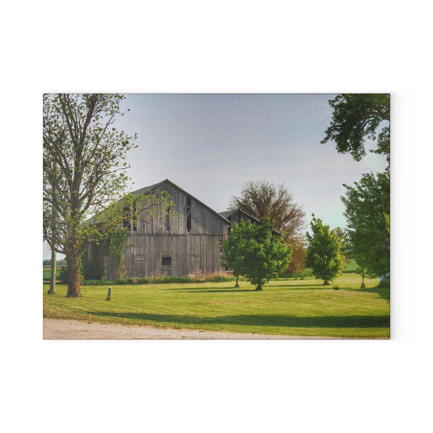 U R There Photography Caro Road Twin Greys II Rustic Farmhouse Tempered-Glass Cutting Board