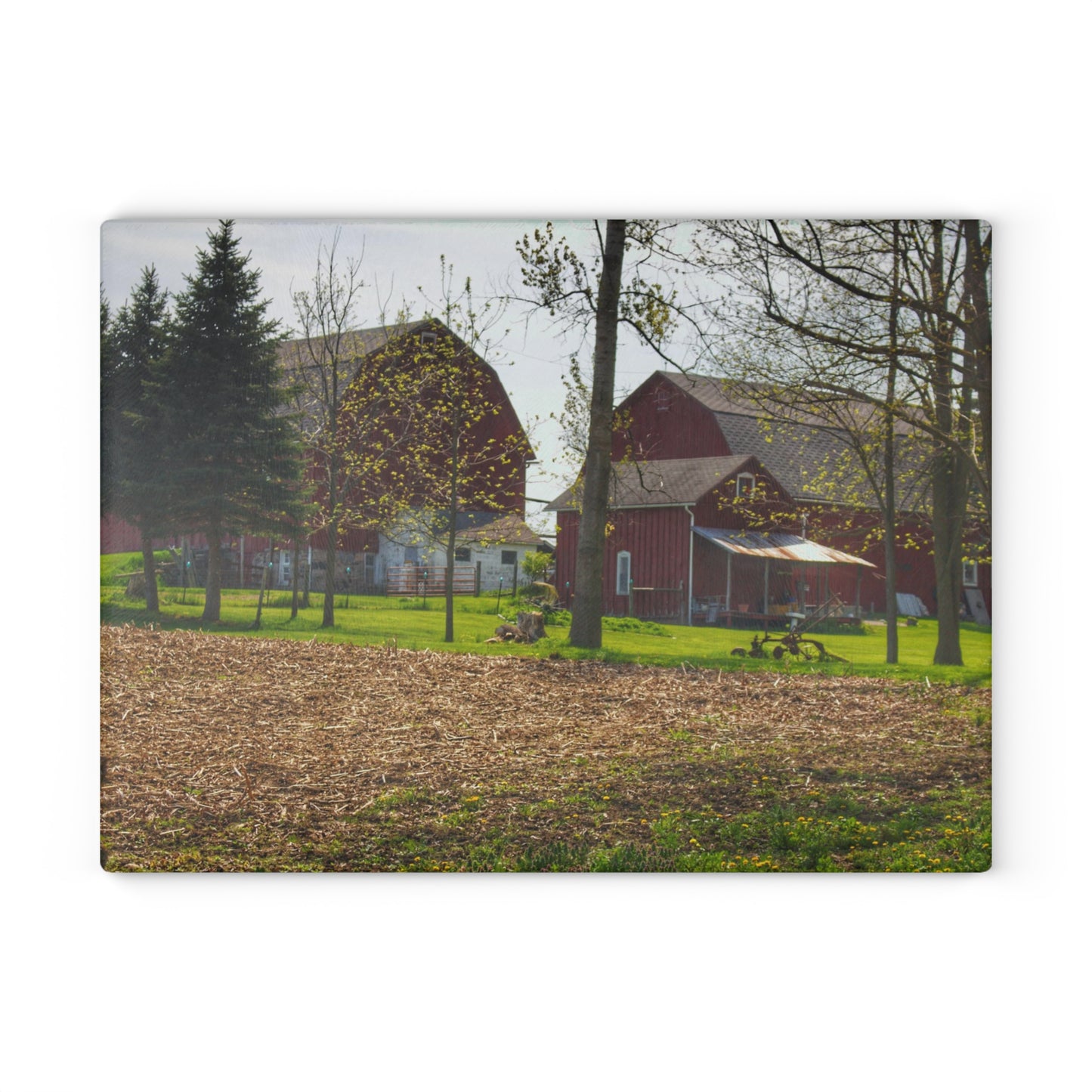U R There Photography Bishop Road Reds III Rustic Farmhouse Tempered-Glass Cutting Board