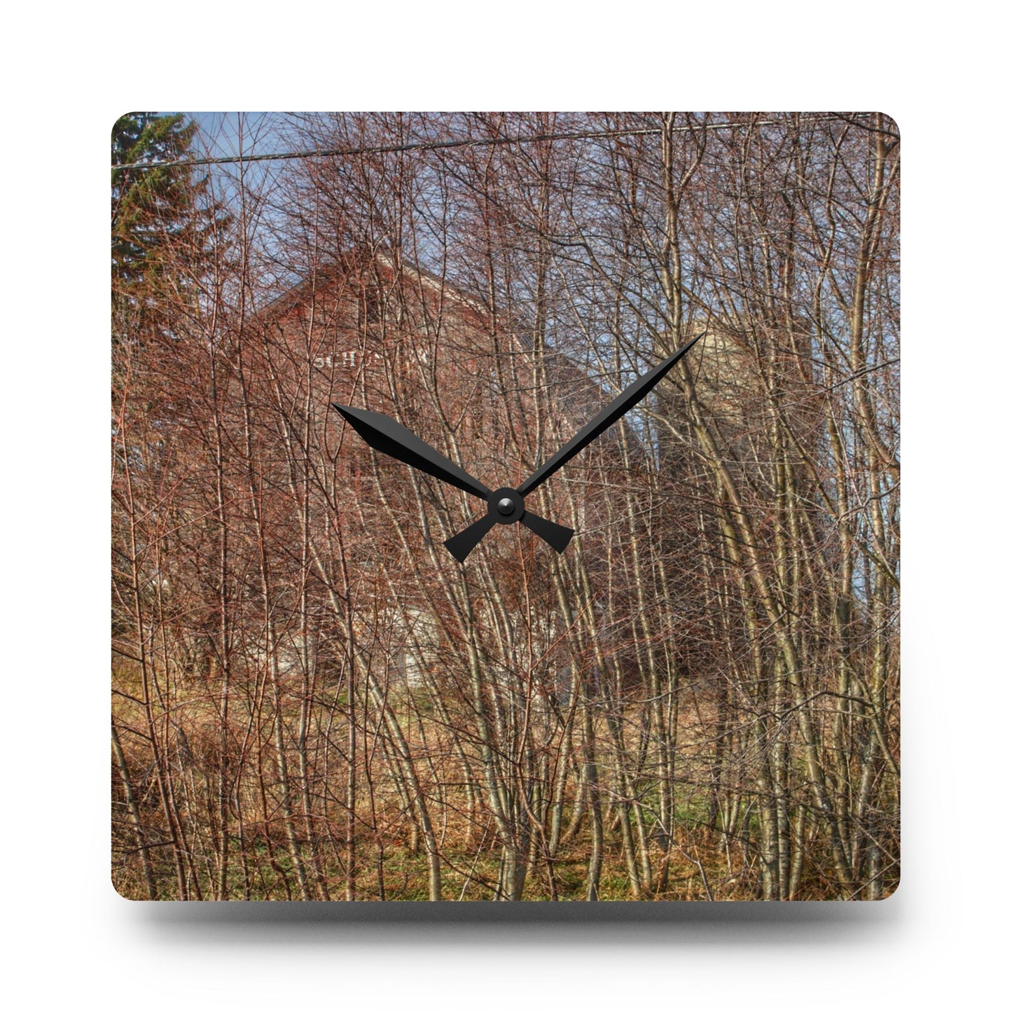 U R There Photography Otter Lake Hidden Red Rustic Farmhouse Acrylic Analog Wall Clock