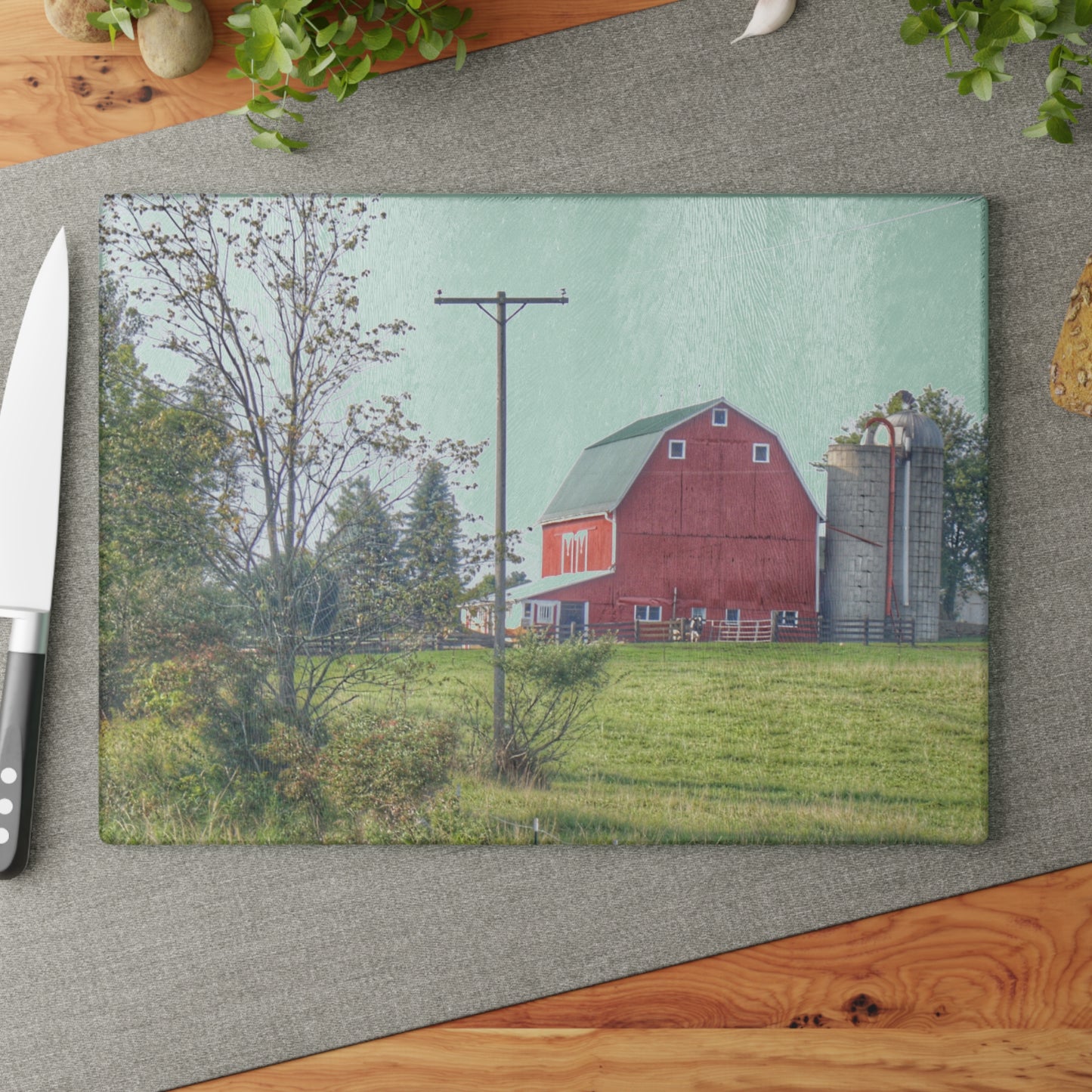 U R There Photography Stewart Road Red I Rustic Farmhouse Tempered-Glass Cutting Board