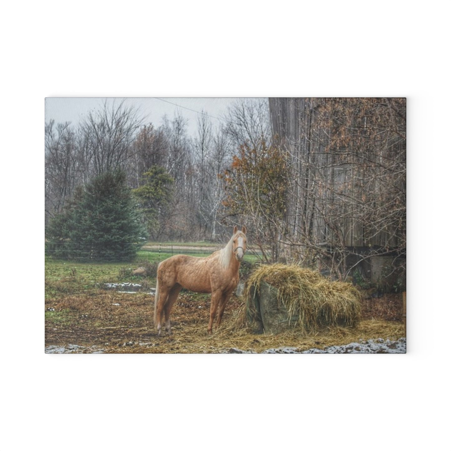 U R There Photography French Road Butterscotch Rustic Farmhouse Tempered-Glass Cutting Board