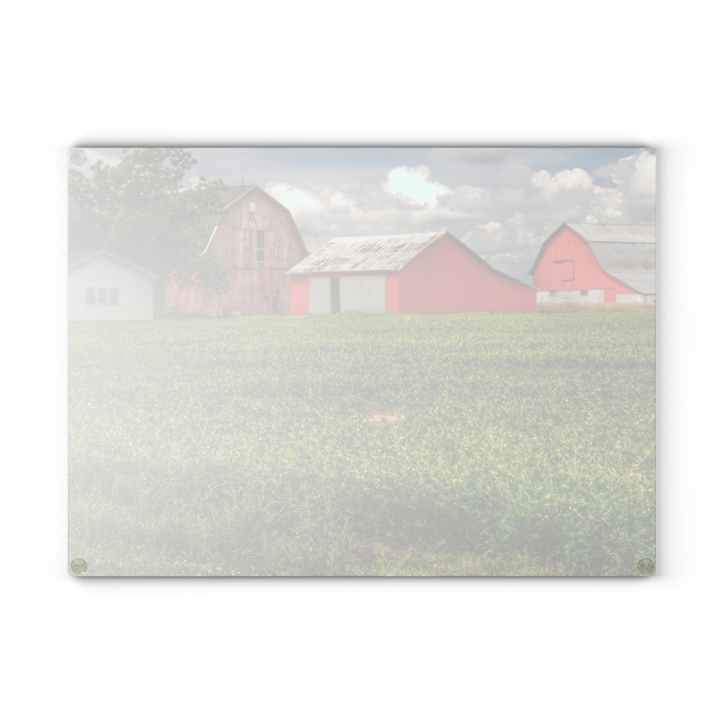 U R There Photography Roadside Trio Rustic Farmhouse Tempered-Glass Cutting Board