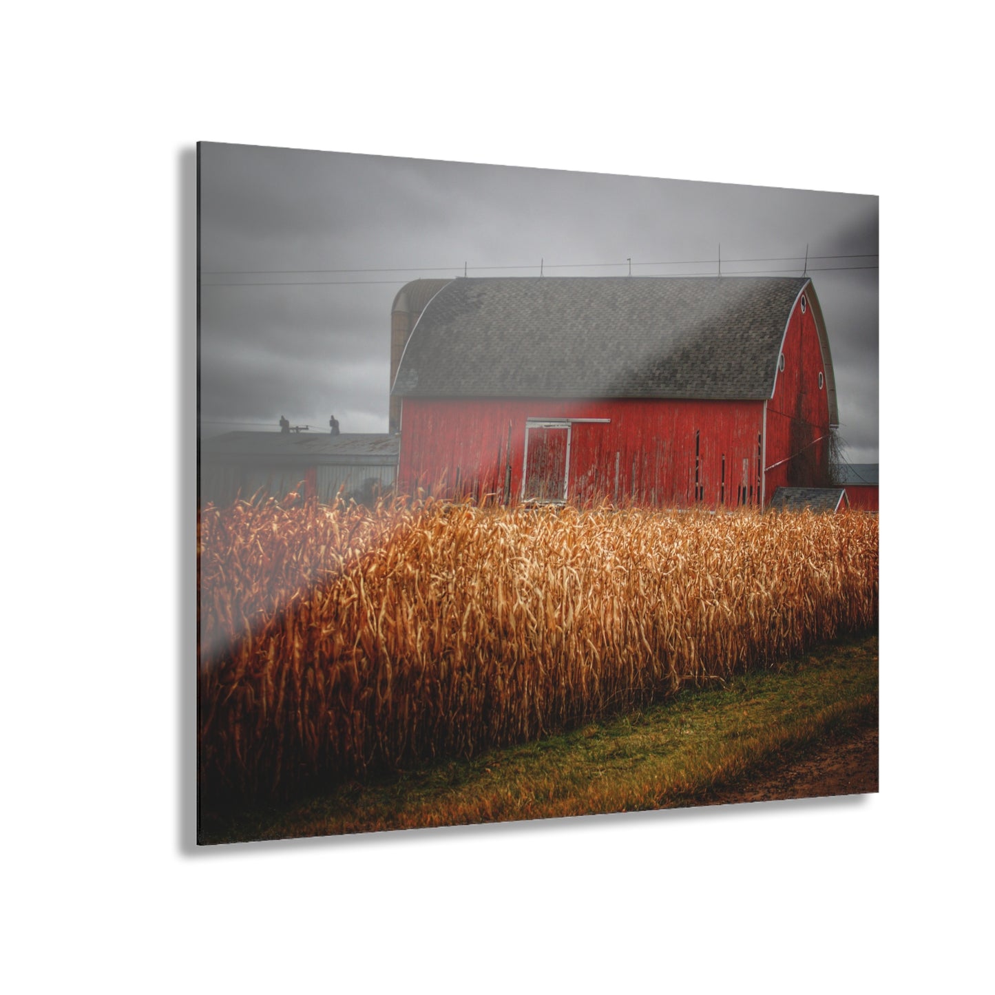 U R There Photography Slattery Road Cornfield Red Rustic Farmhouse Acrylic Wall Print