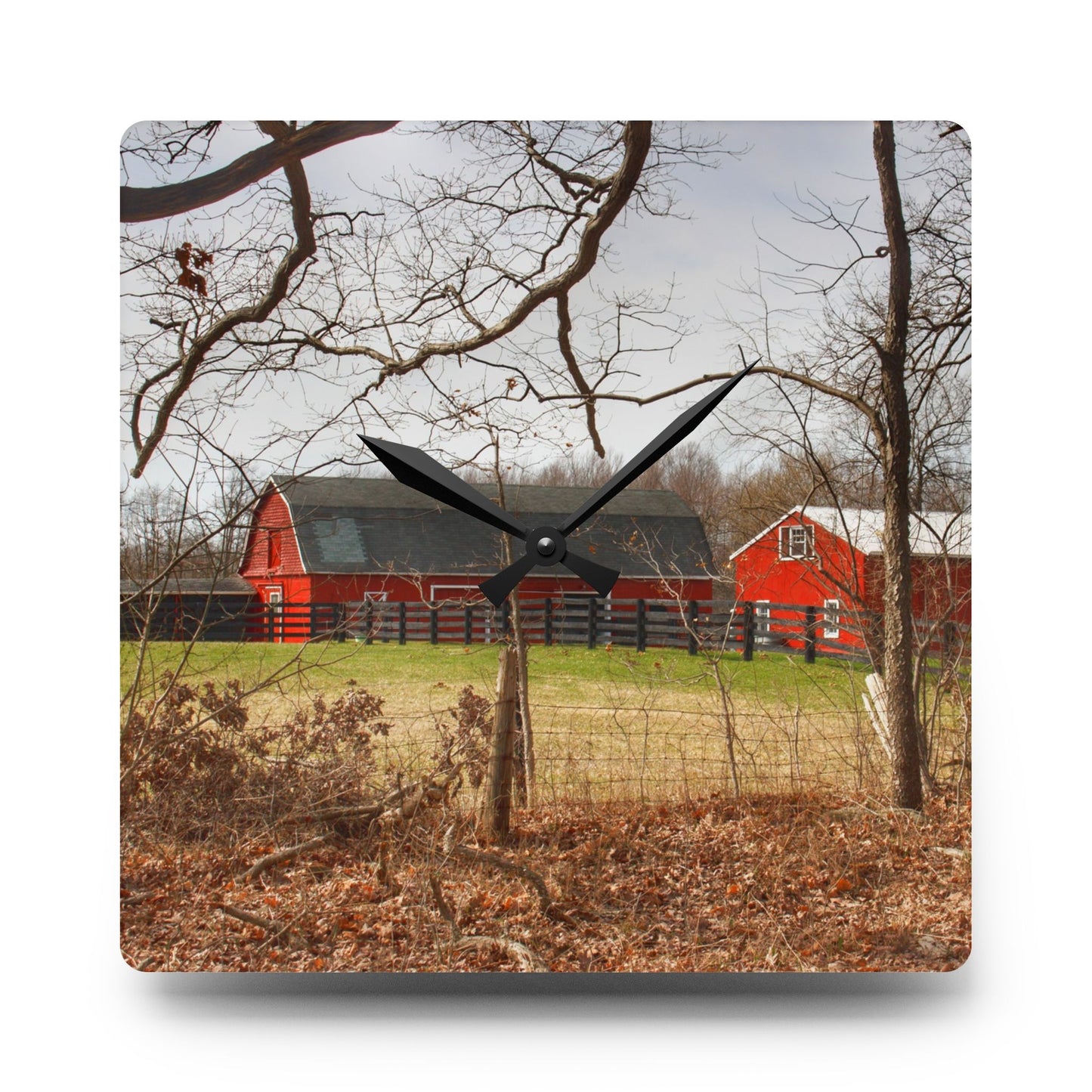U R There Photography Hidden Hosner Reds Rustic Farmhouse Acrylic Analog Wall Clock
