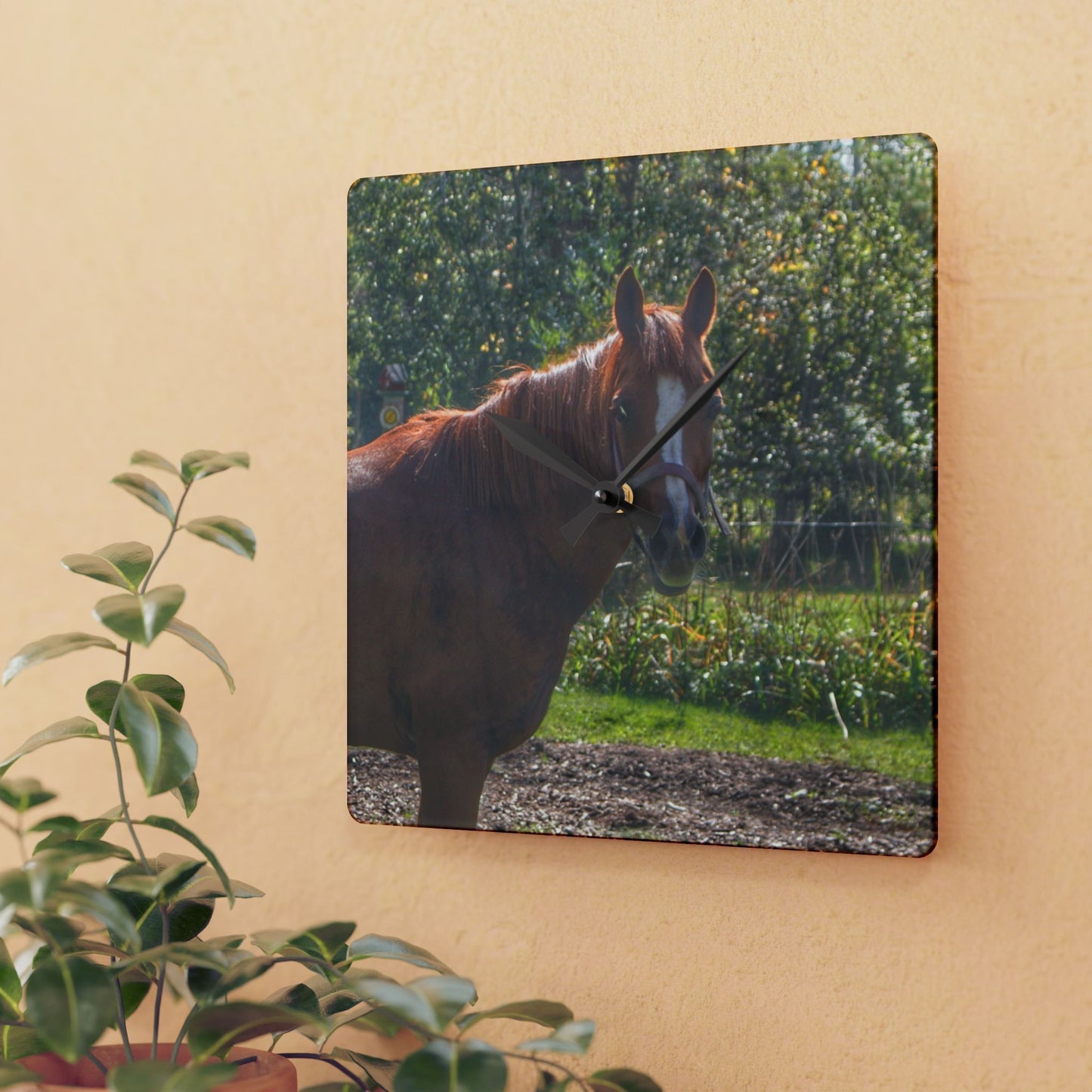 U R There Photography Froede Road Chestnut Brown Rustic Farmhouse Acrylic Analog Wall Clock