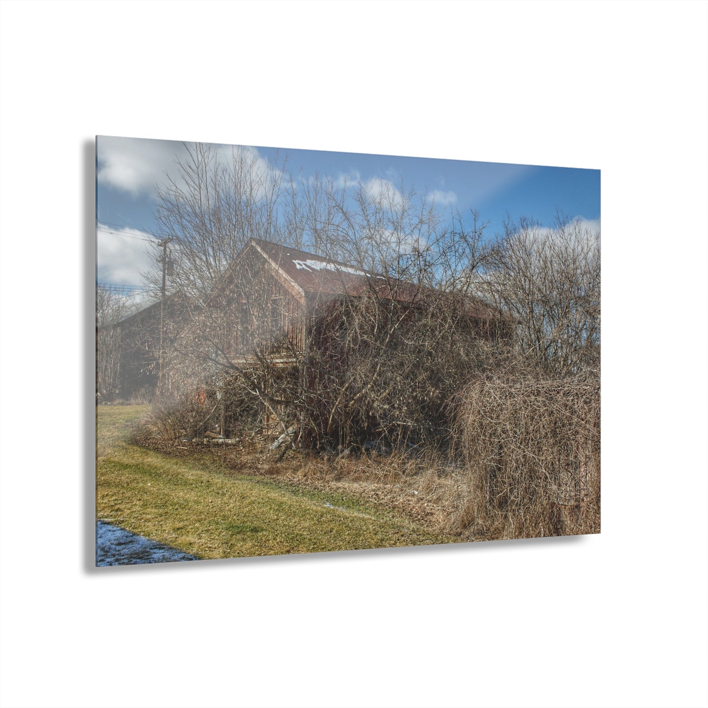 U R There Photography Buried Burnside Greys I Rustic Farmhouse Acrylic Wall Print