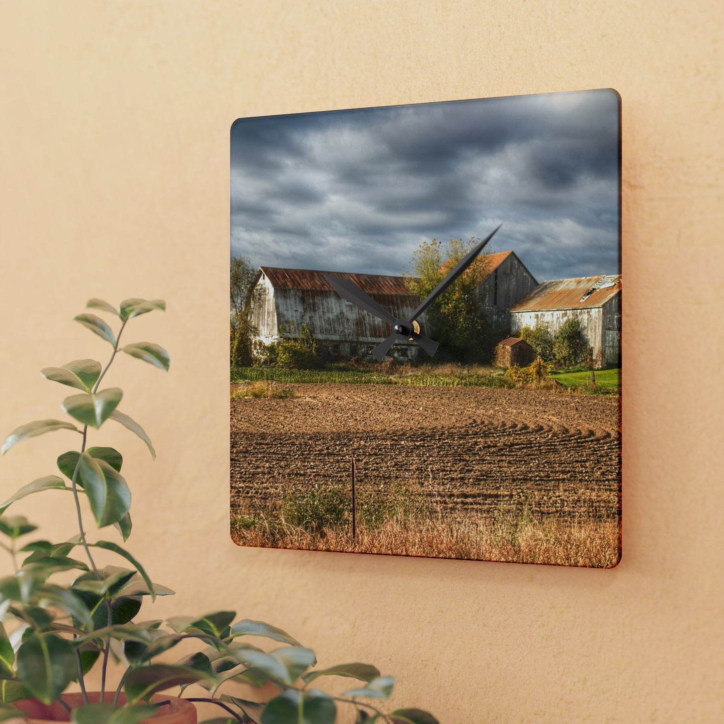 U R There Photography Newark Road Whites Rustic Farmhouse Acrylic Analog Wall Clock