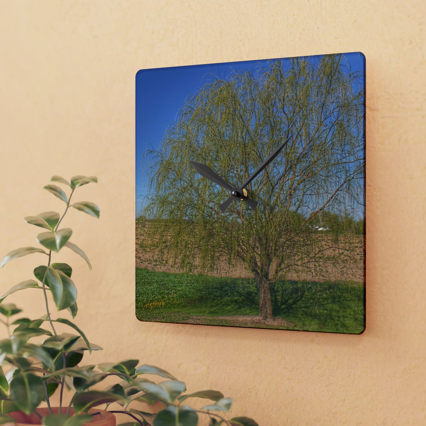 U R There Photography Spring Farm Willow Tree Rustic Farmhouse Acrylic Analog Wall Clock