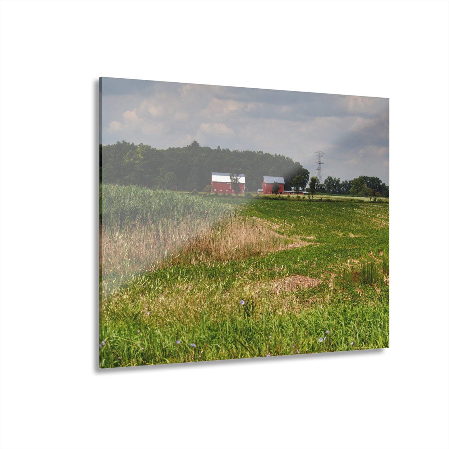Rustic Farmhouse Wall Print Featuring Across the Field in Elba II