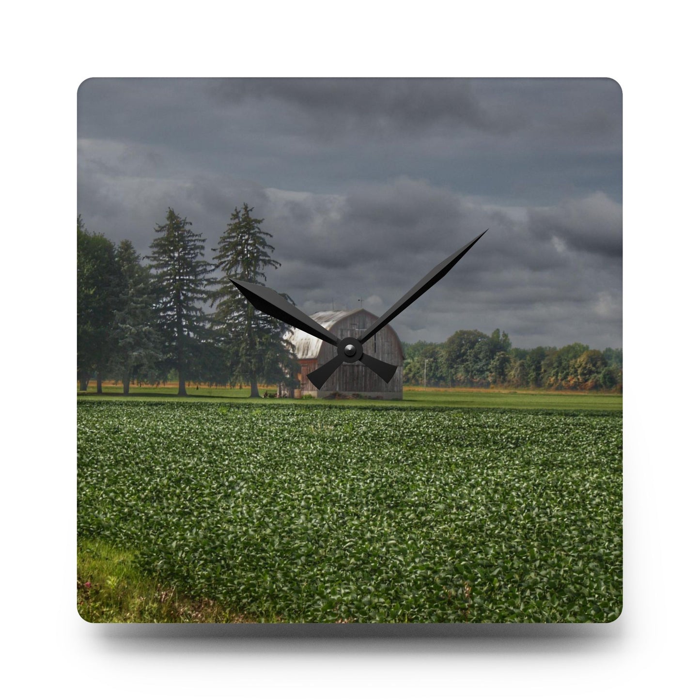 U R There Photography Belsay Grey Among the Pines Rustic Farmhouse Acrylic Analog Wall Clock