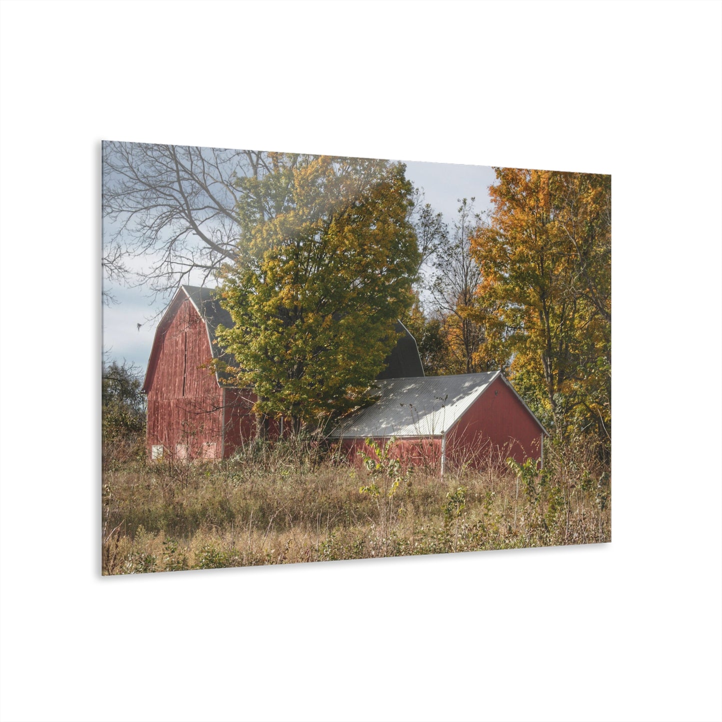U R There Photography Bowers Road Red I Rustic Farmhouse Acrylic Wall Print