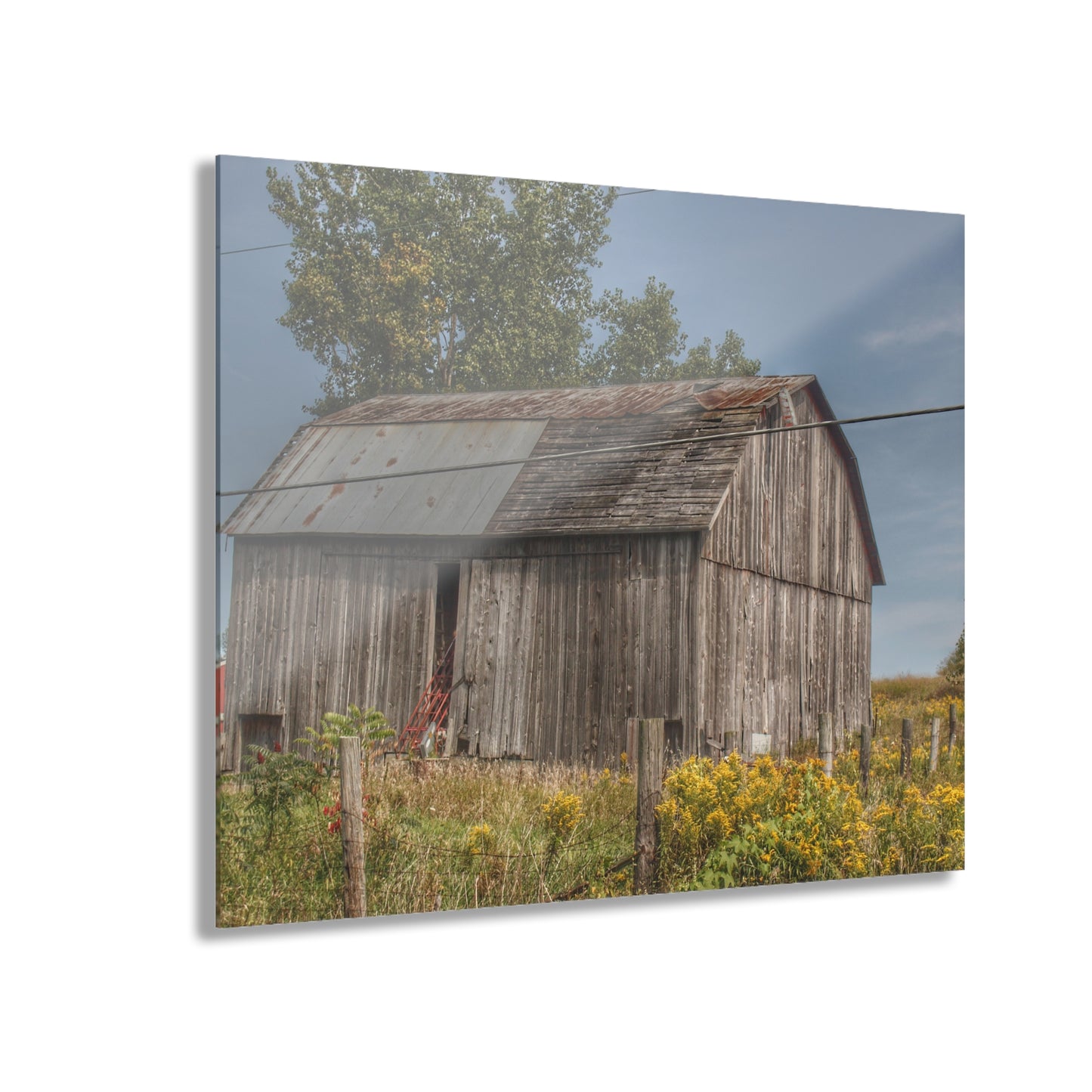 U R There Photography Schott Road Grey I Rustic Farmhouse Acrylic Wall Print