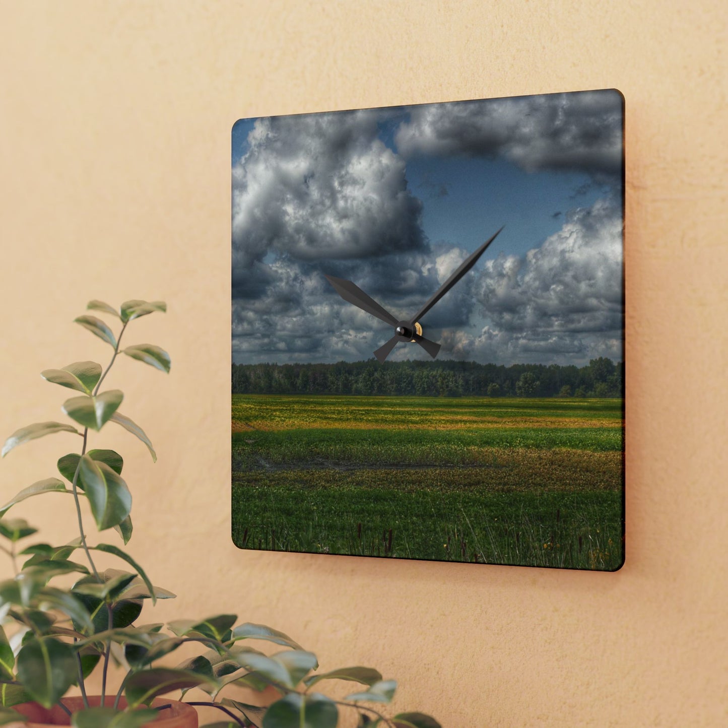 U R There Photography Skies of September Rustic Farmhouse Acrylic Analog Wall Clock