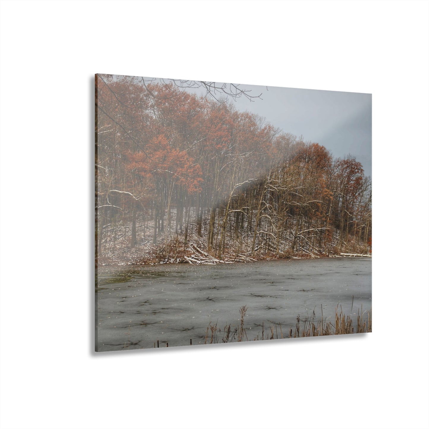 U R There Photography The Freeze of Thornville Rustic Farmhouse Acrylic Wall Print